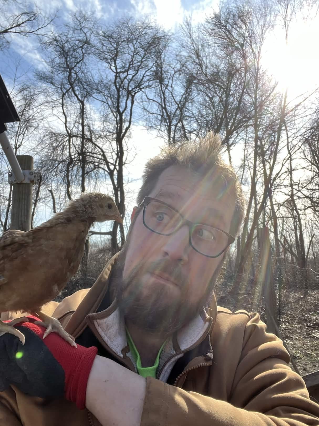 The learning curve: every chick keeper's first week.