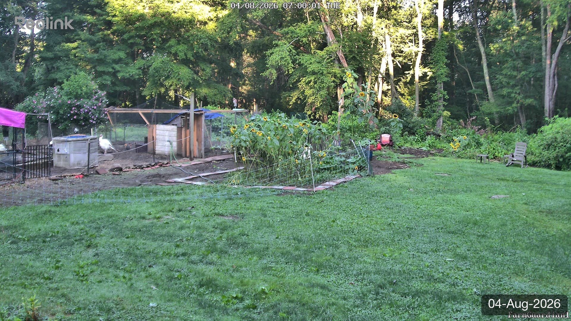Yard on 04-Aug-2026, Morning