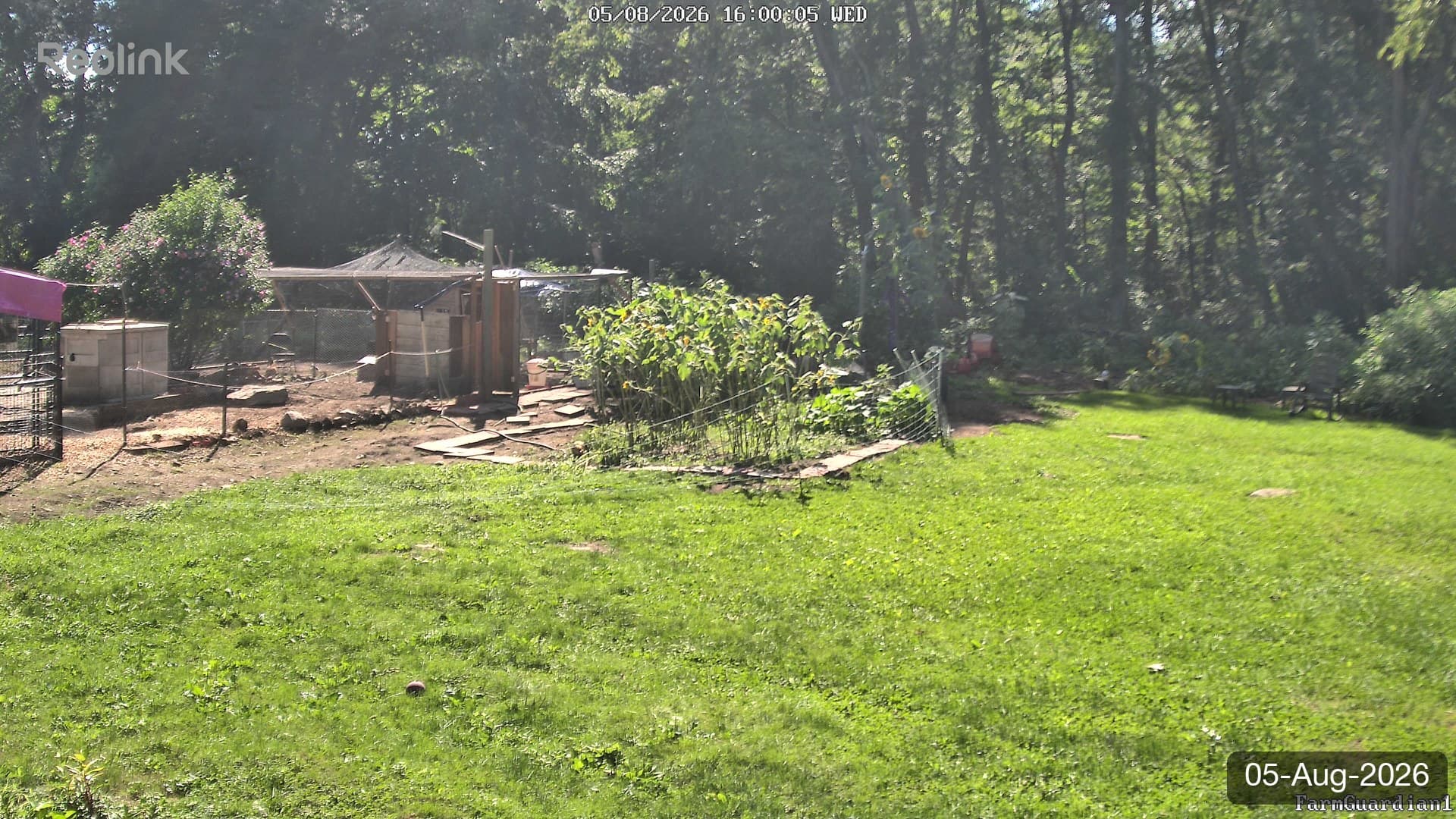 Yard on 05-Aug-2026, Evening