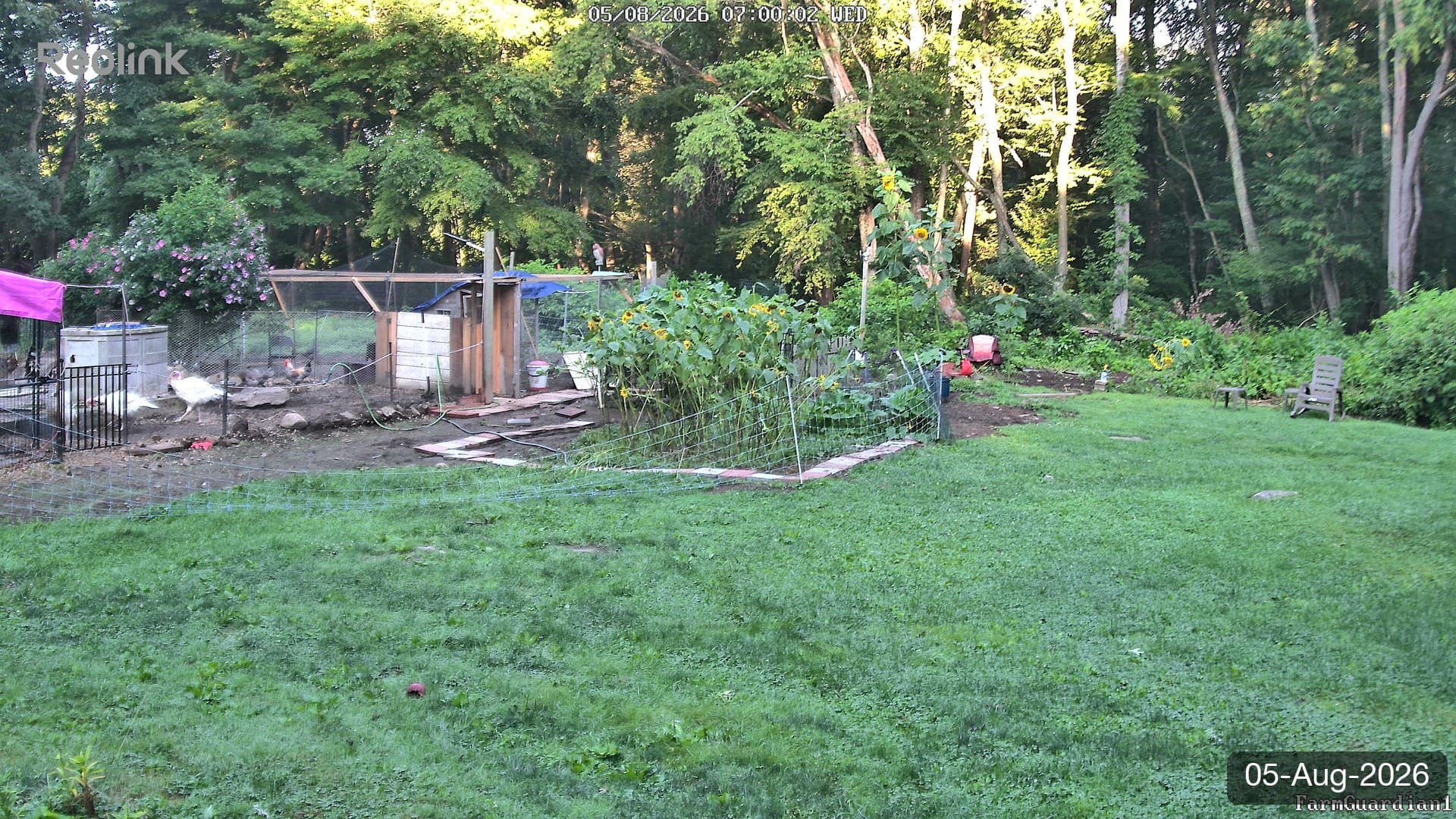 Yard on 05-Aug-2026, Morning