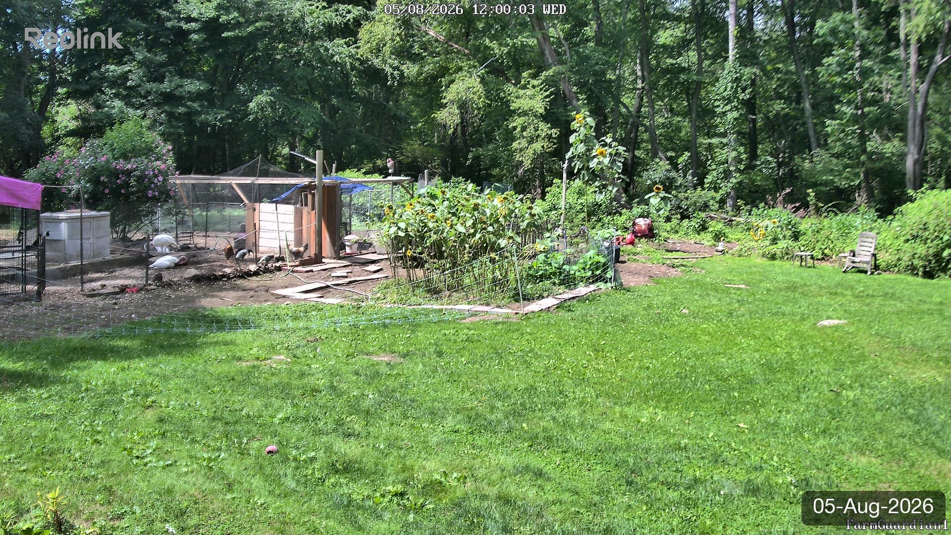 Yard on 05-Aug-2026, Noon