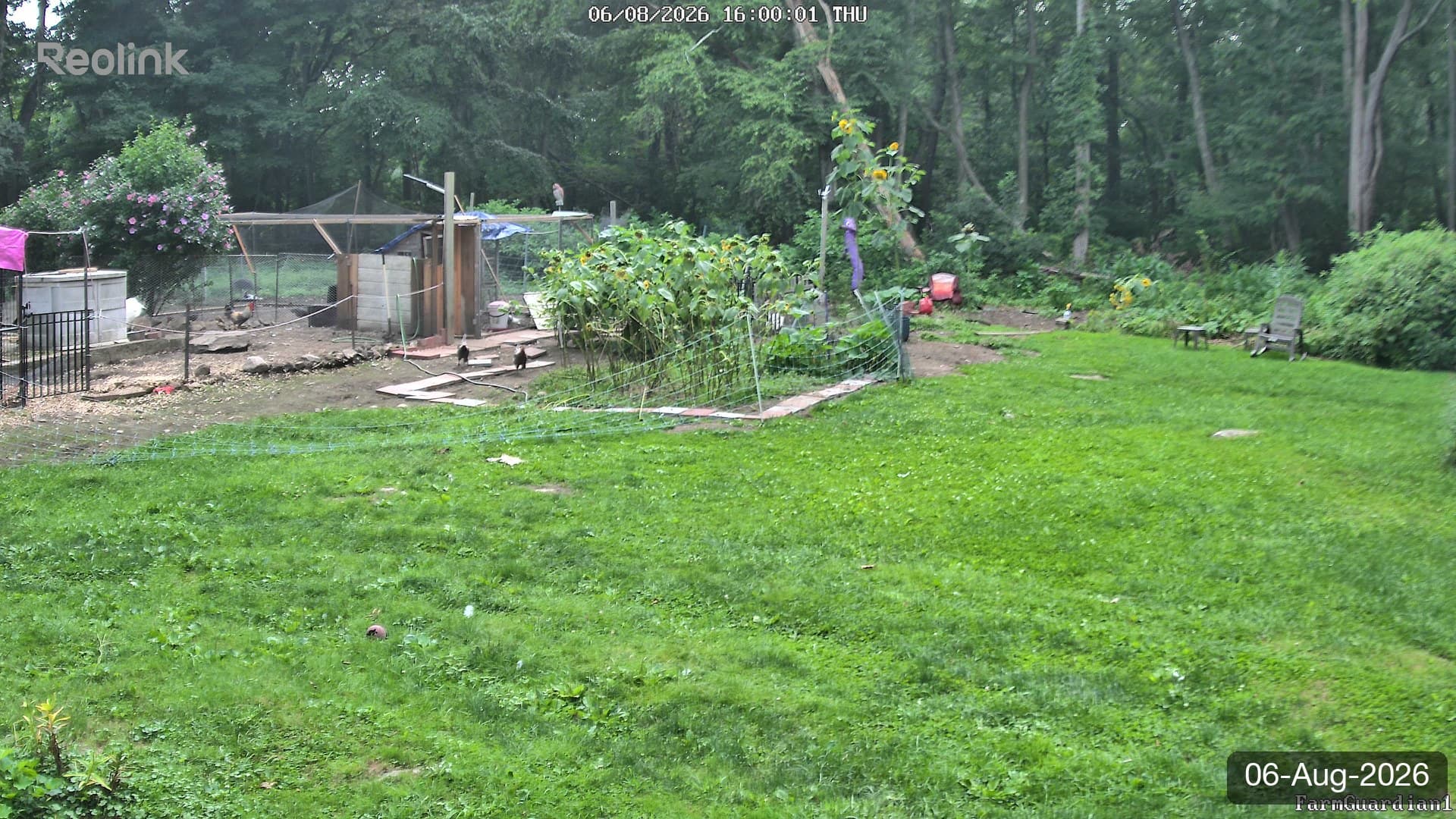 Yard on 06-Aug-2026, Evening