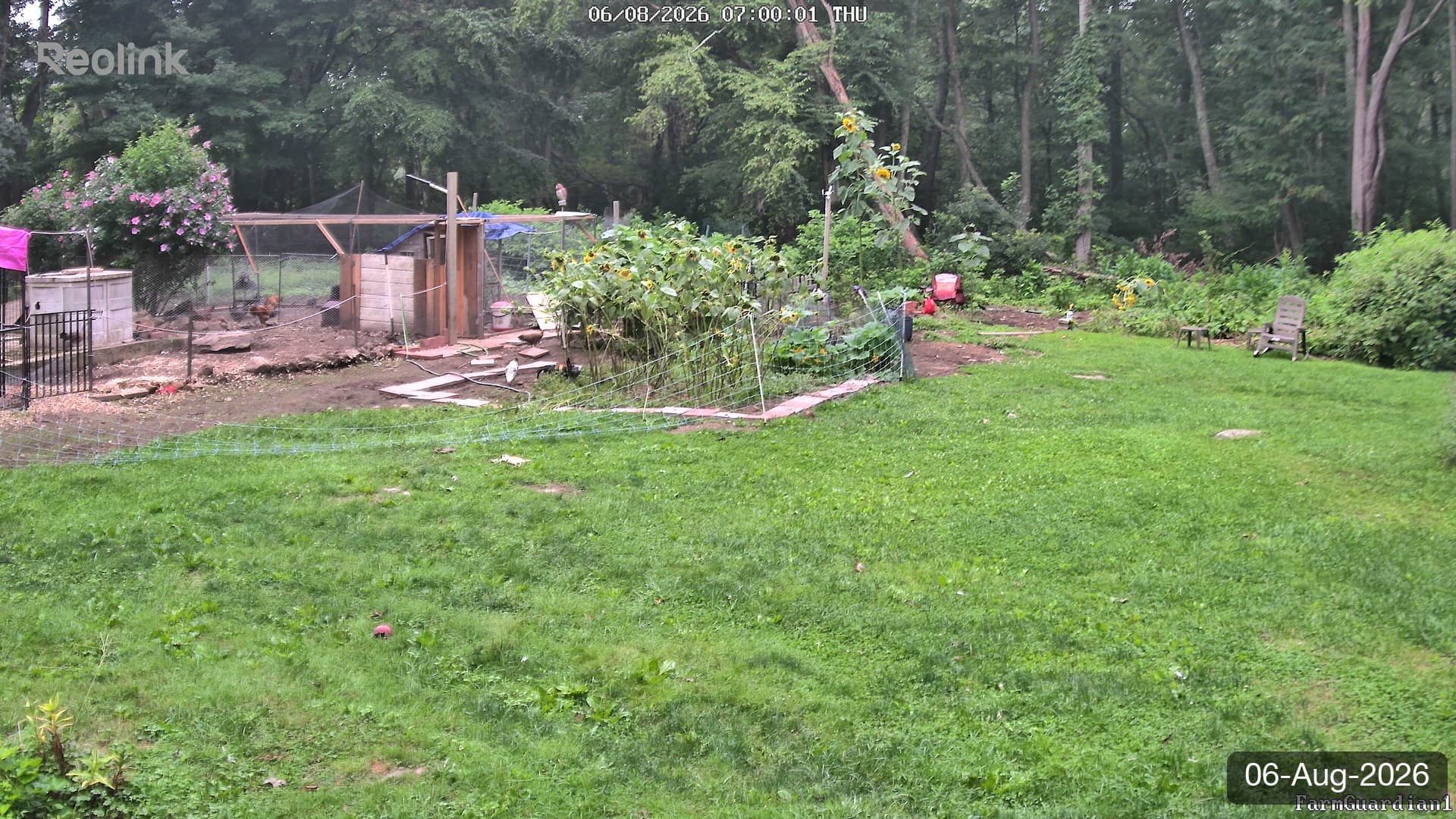Yard on 06-Aug-2026, Morning