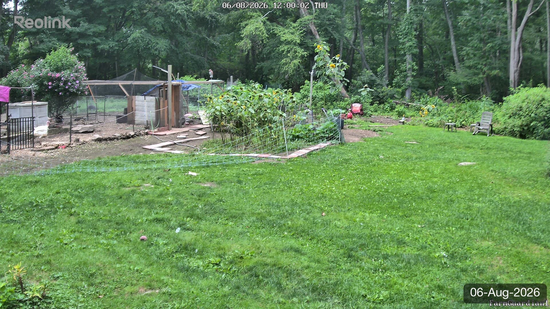 Yard on 06-Aug-2026, Noon
