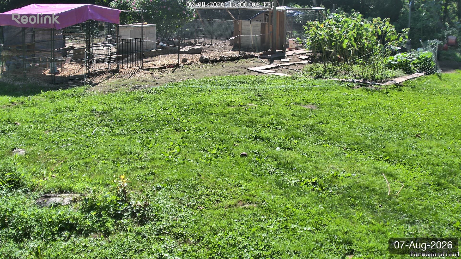 Yard on 07-Aug-2026, Evening
