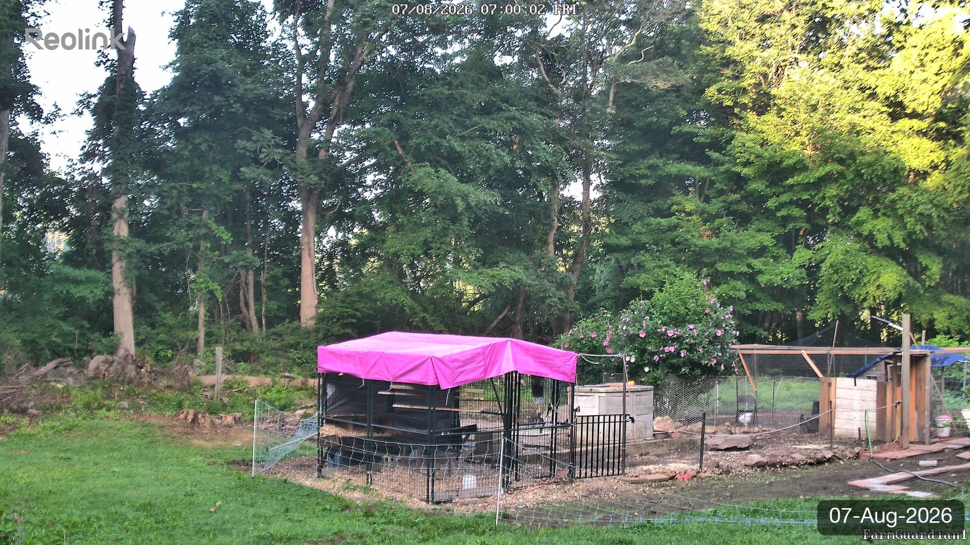 Yard on 07-Aug-2026, Morning