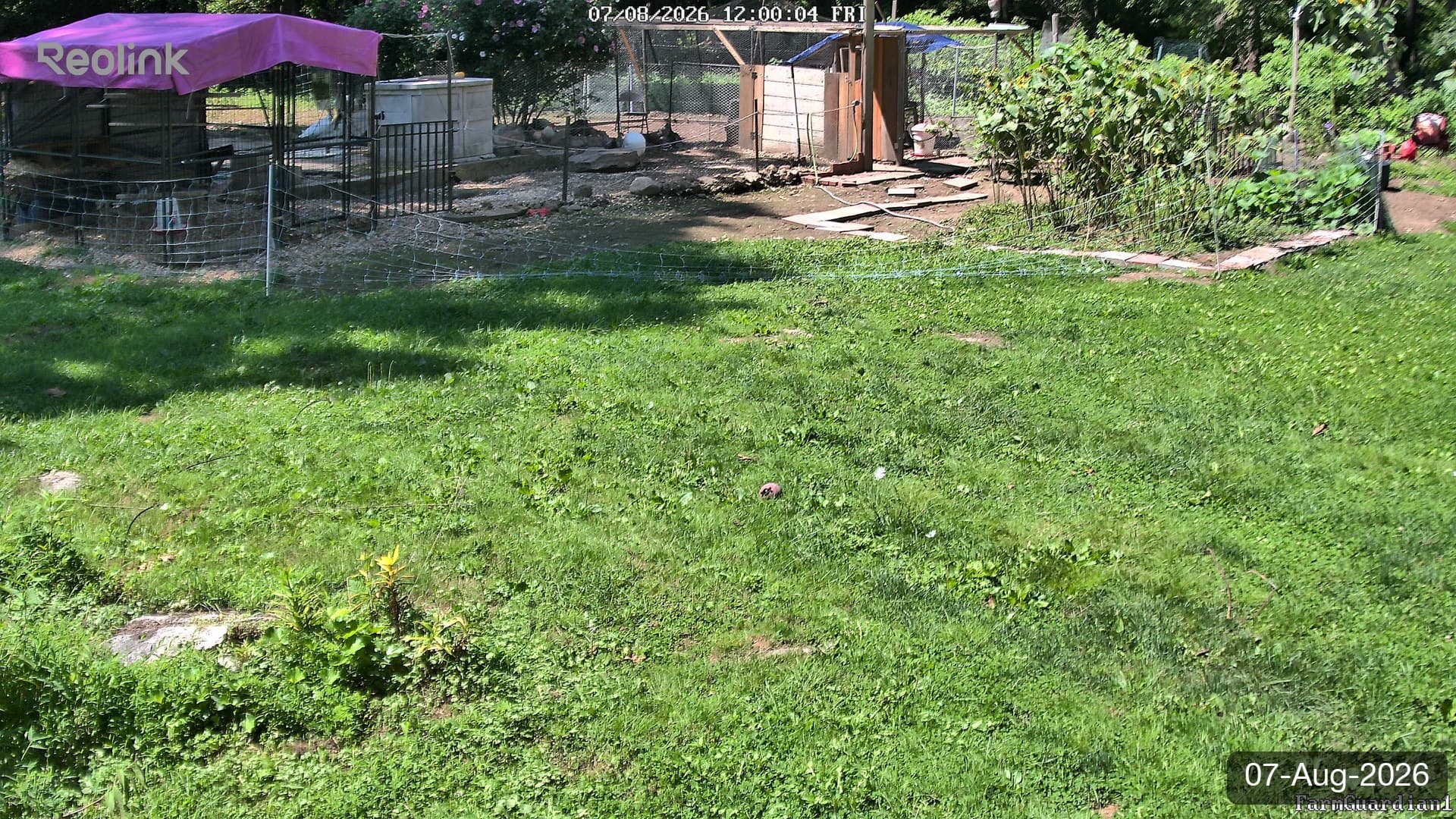 Yard on 07-Aug-2026, Noon