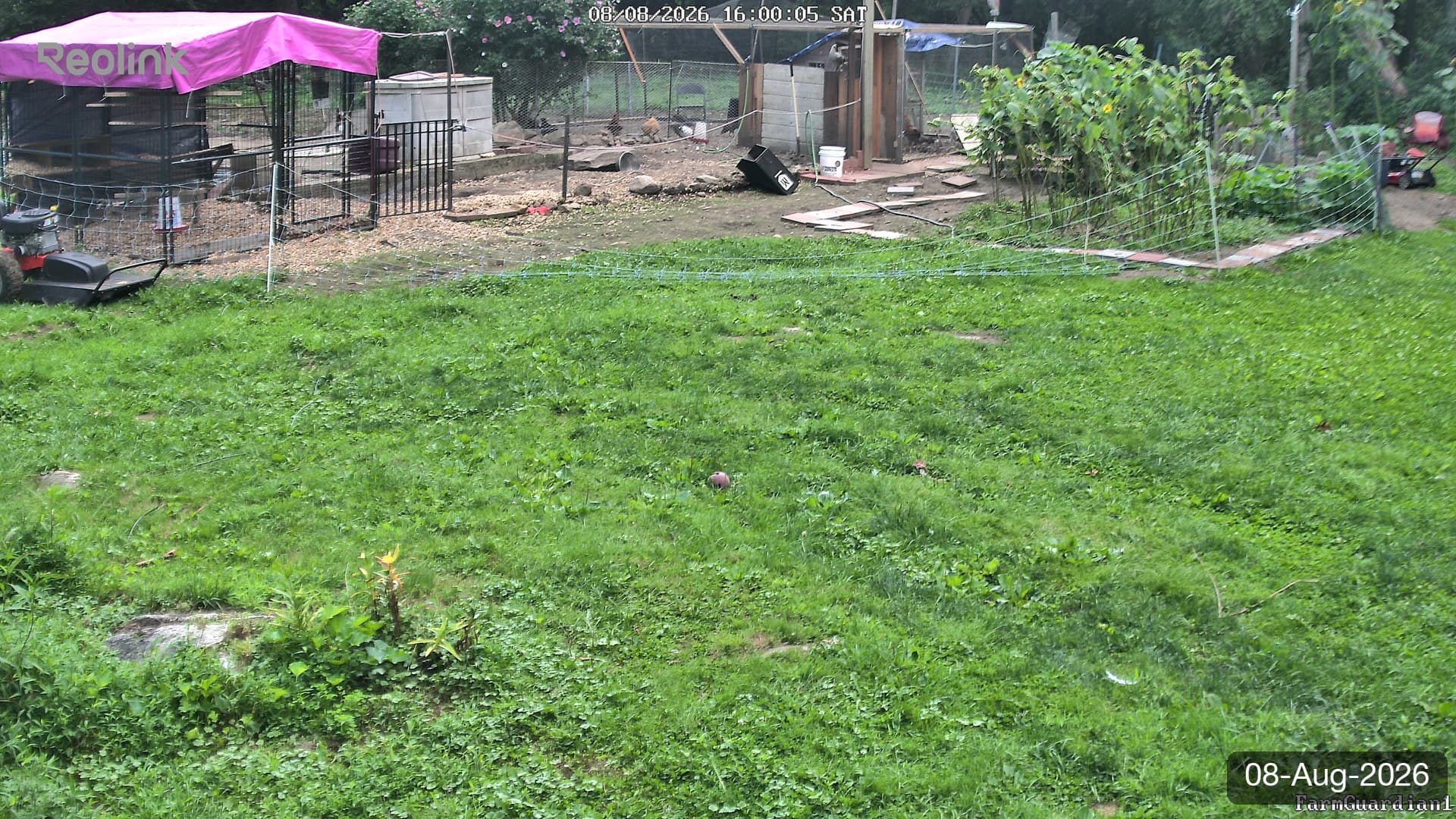 Yard on 08-Aug-2026, Evening