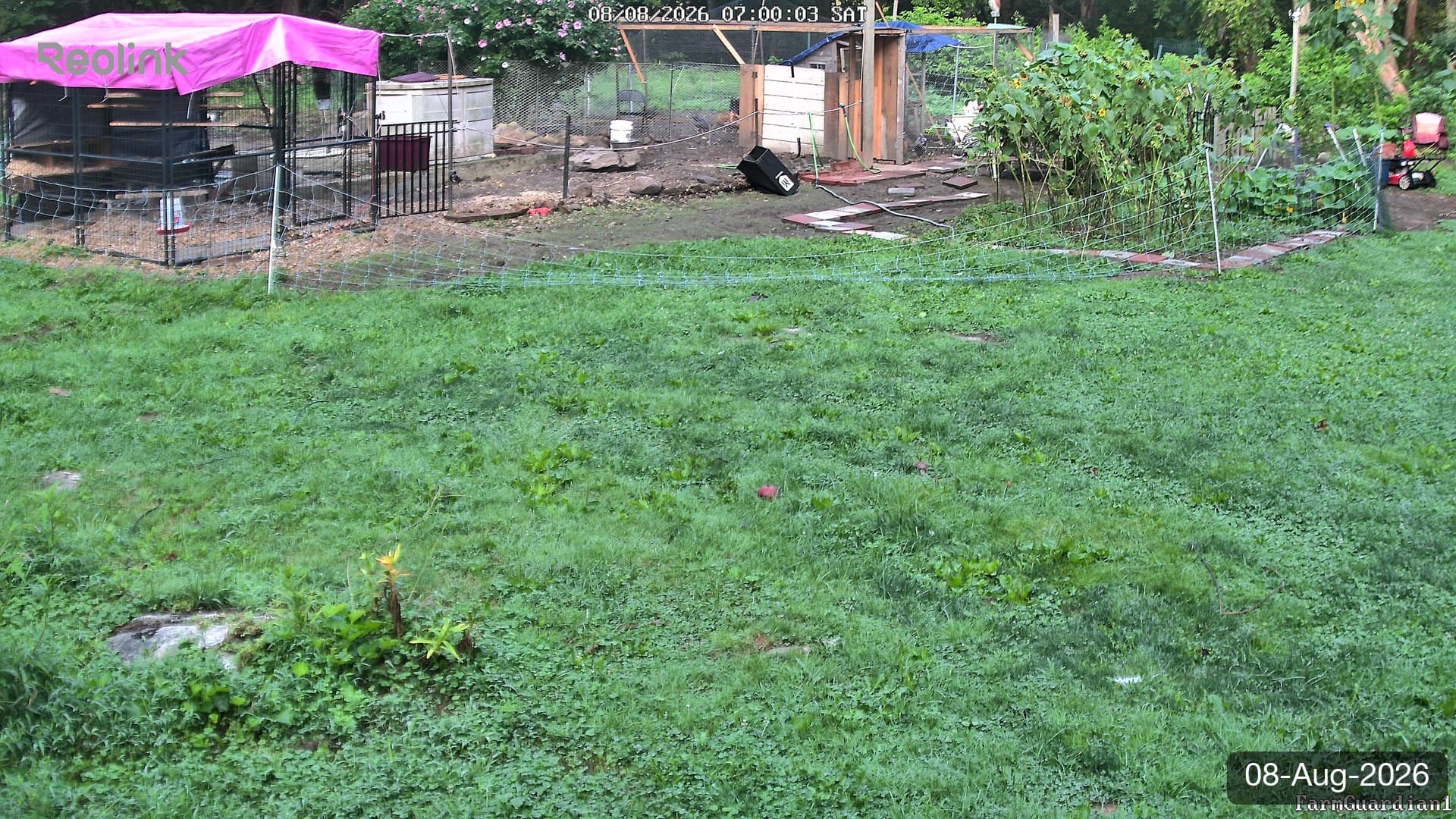Yard on 08-Aug-2026, Morning