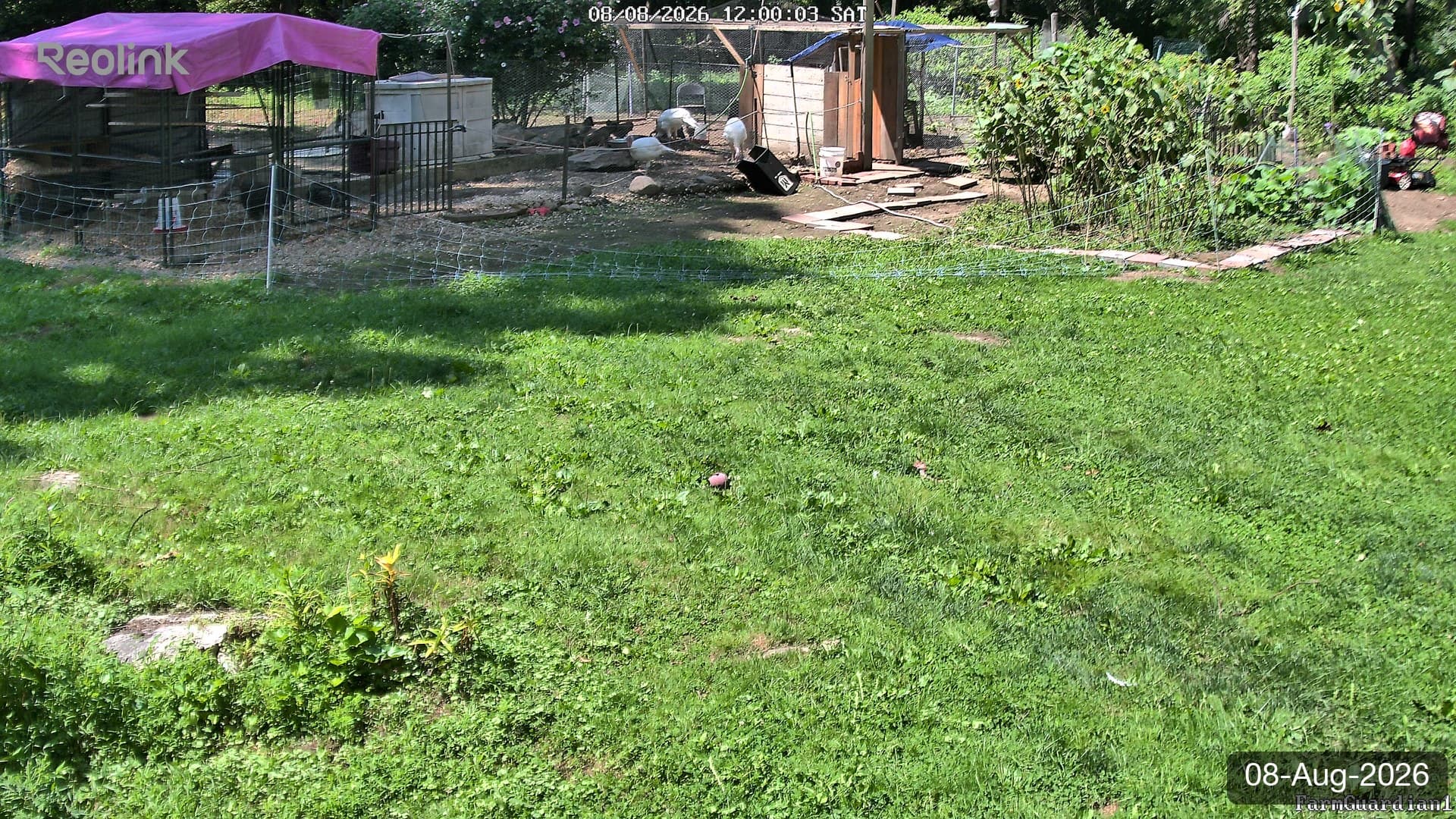 Yard on 08-Aug-2026, Noon