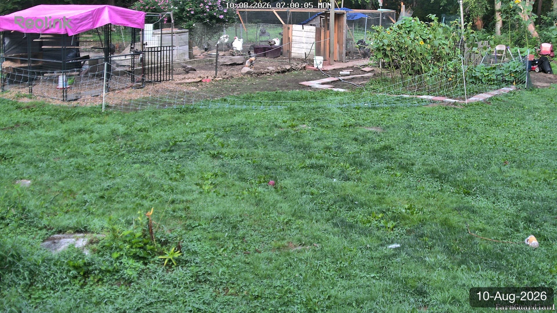 Yard on 10-Aug-2026, Morning