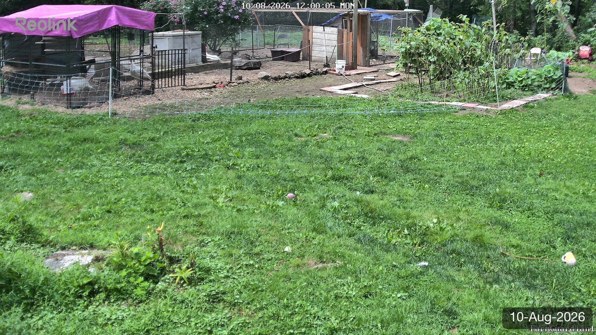 Yard on 10-Aug-2026, Noon