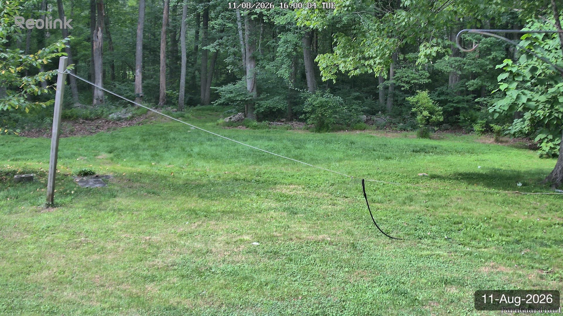 Yard on 11-Aug-2026, Evening