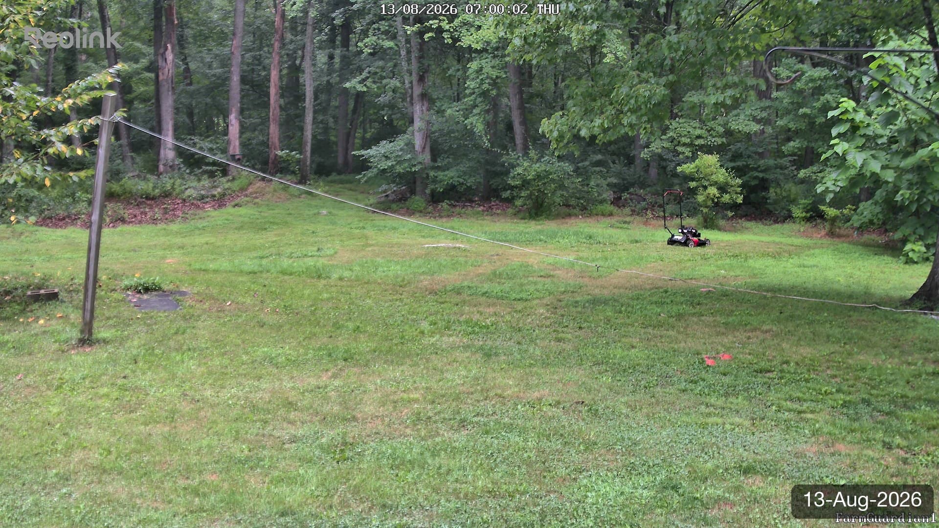 Yard on 13-Aug-2026, Morning