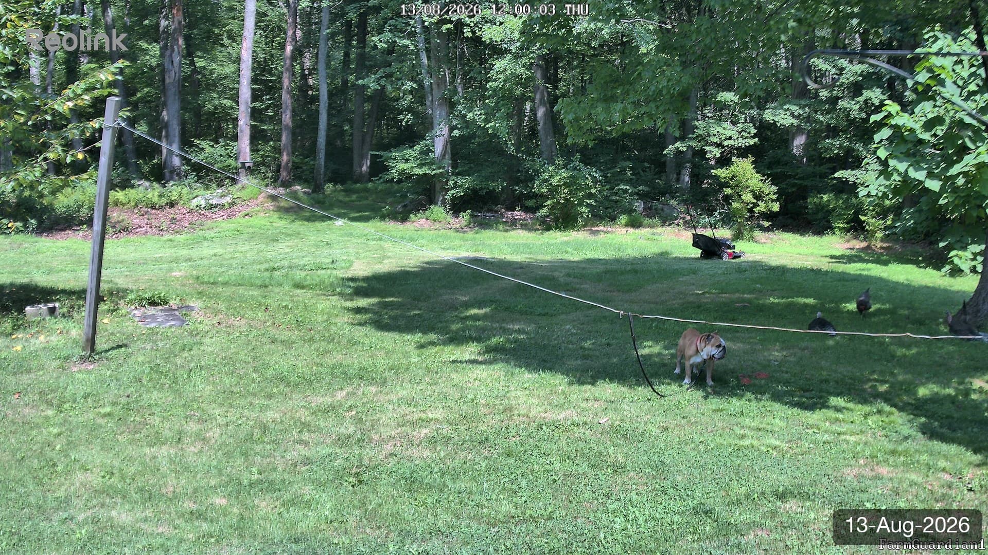 Yard on 13-Aug-2026, Noon