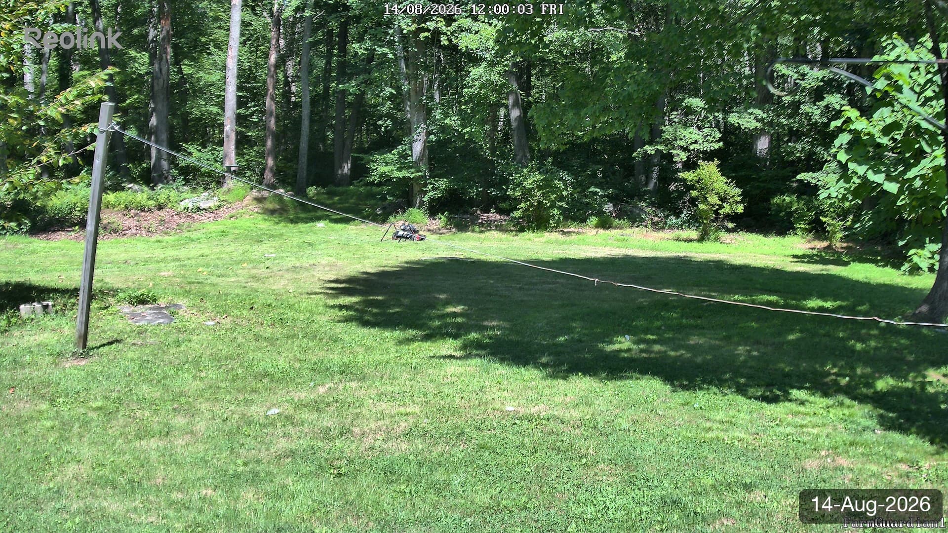 Yard on 14-Aug-2026, Noon