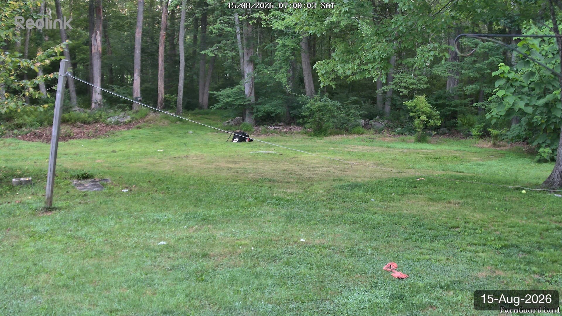 Yard on 15-Aug-2026, Morning