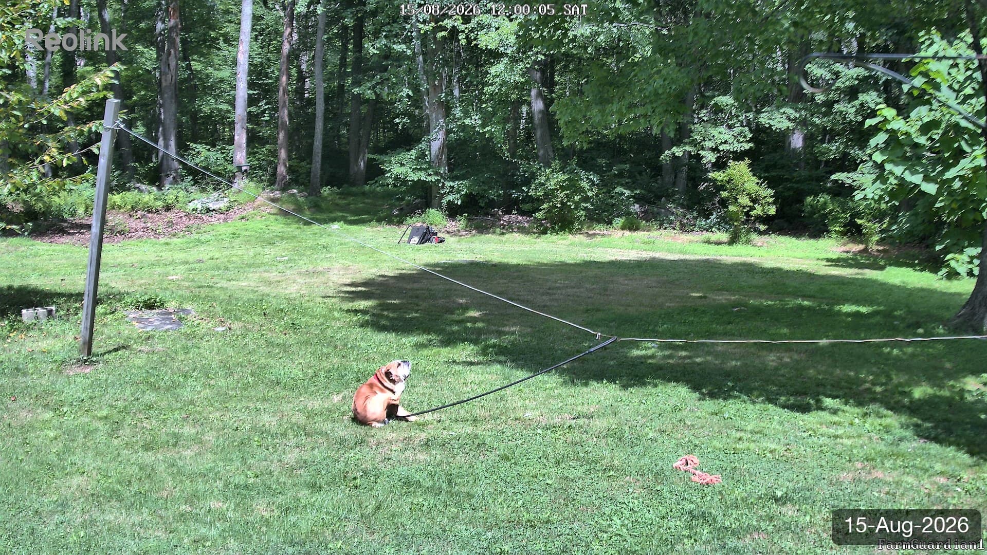 Yard on 15-Aug-2026, Noon