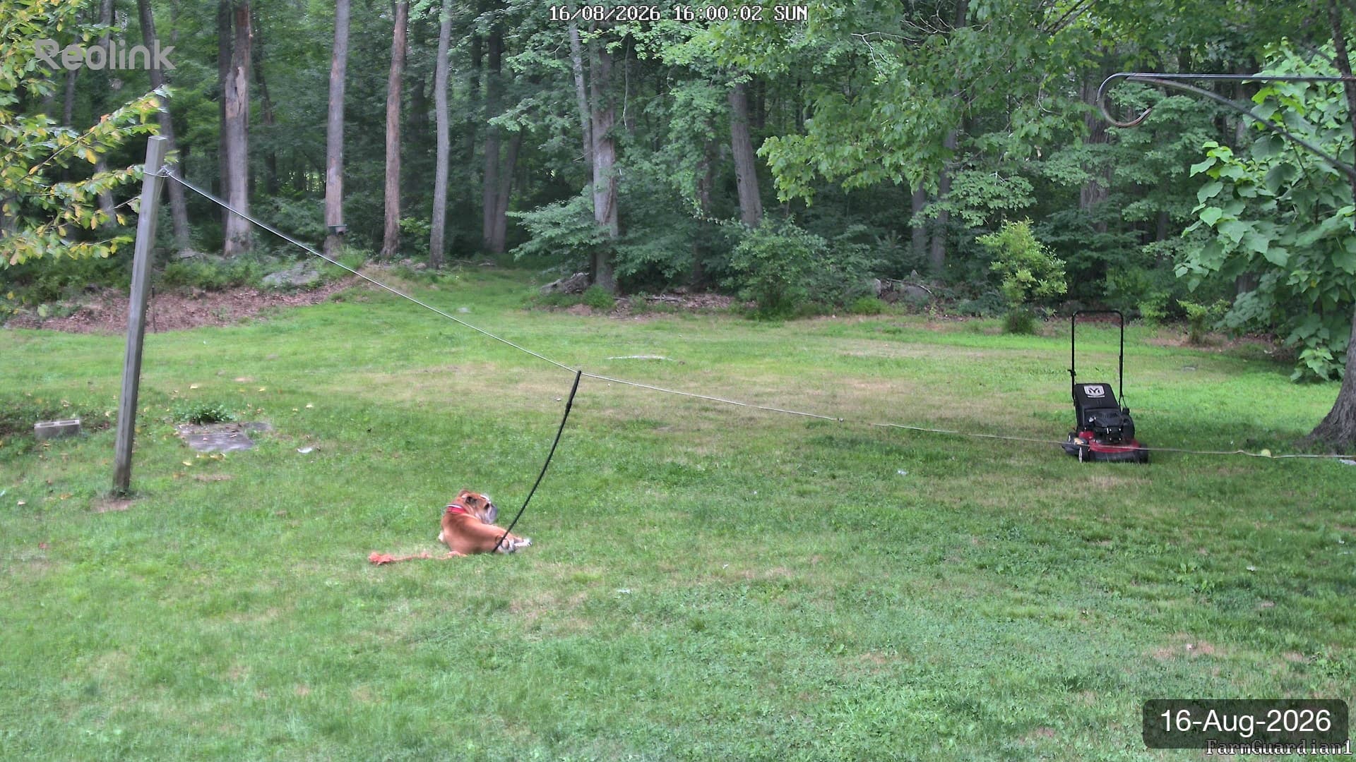 Yard on 16-Aug-2026, Evening