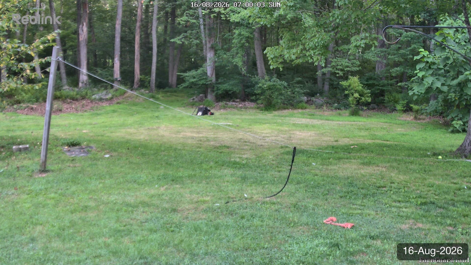 Yard on 16-Aug-2026, Morning