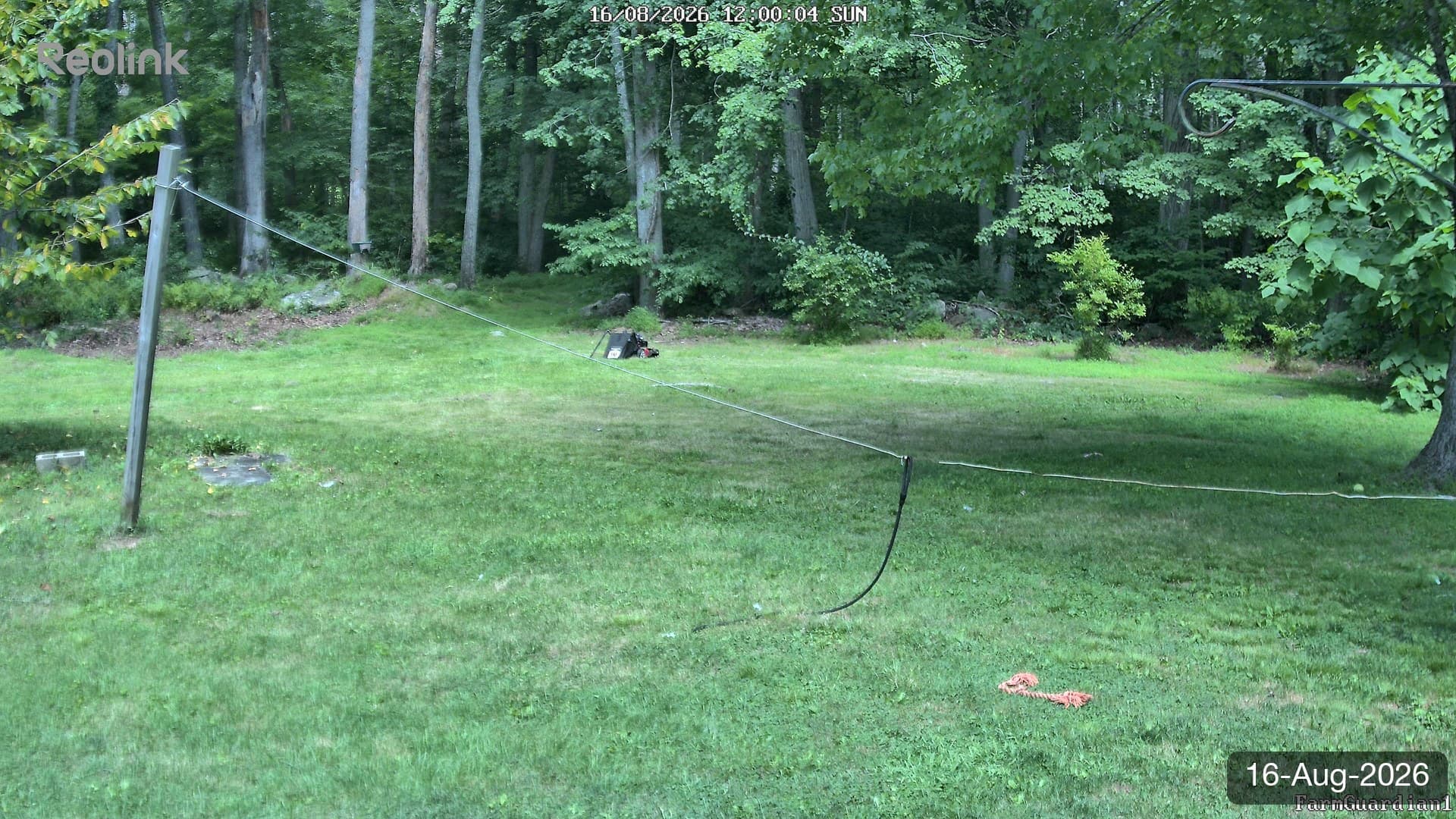 Yard on 16-Aug-2026, Noon