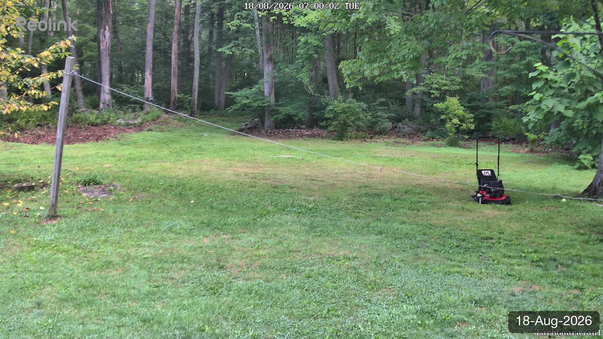 Yard on 18-Aug-2026, Morning