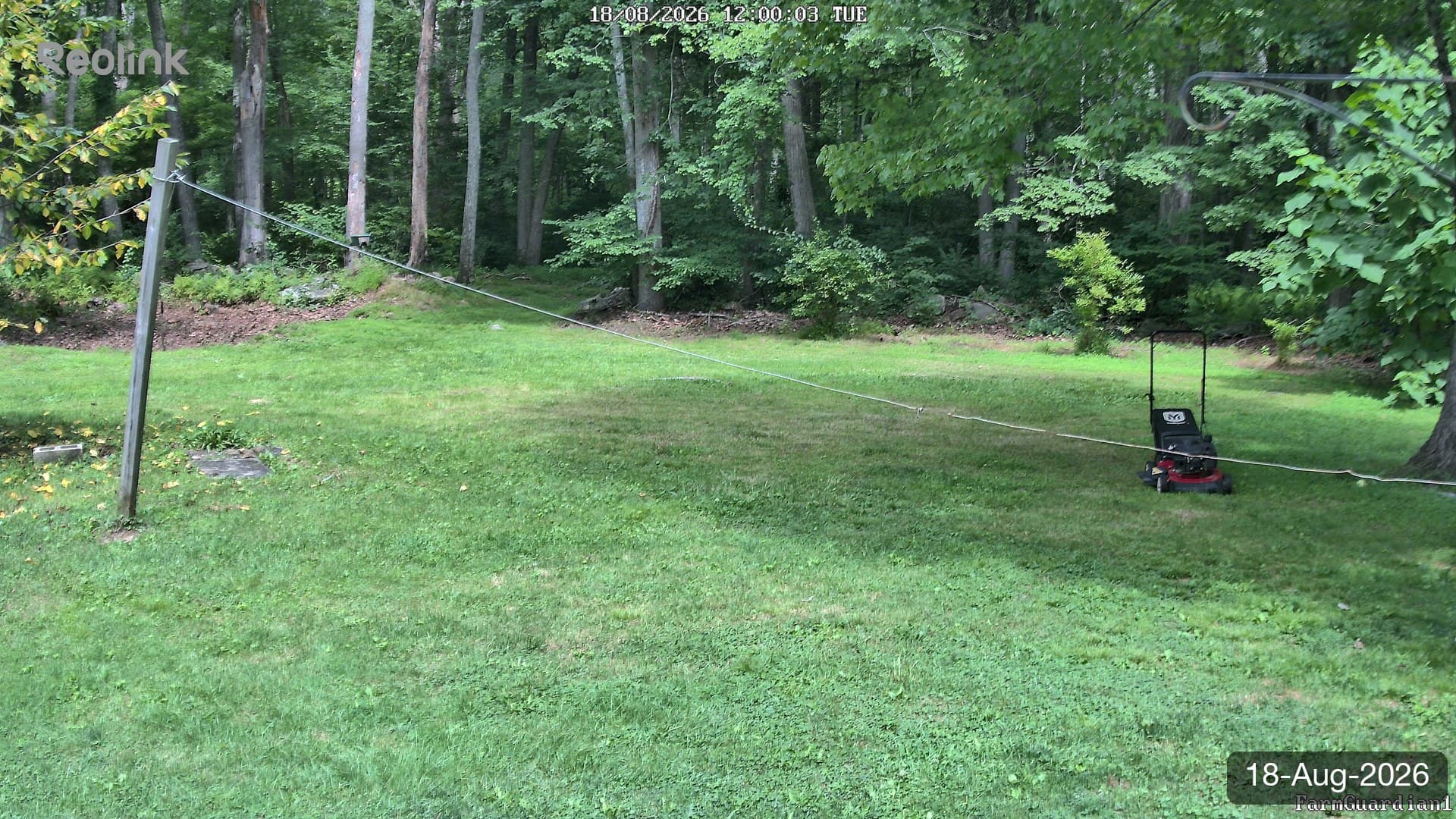 Yard on 18-Aug-2026, Noon