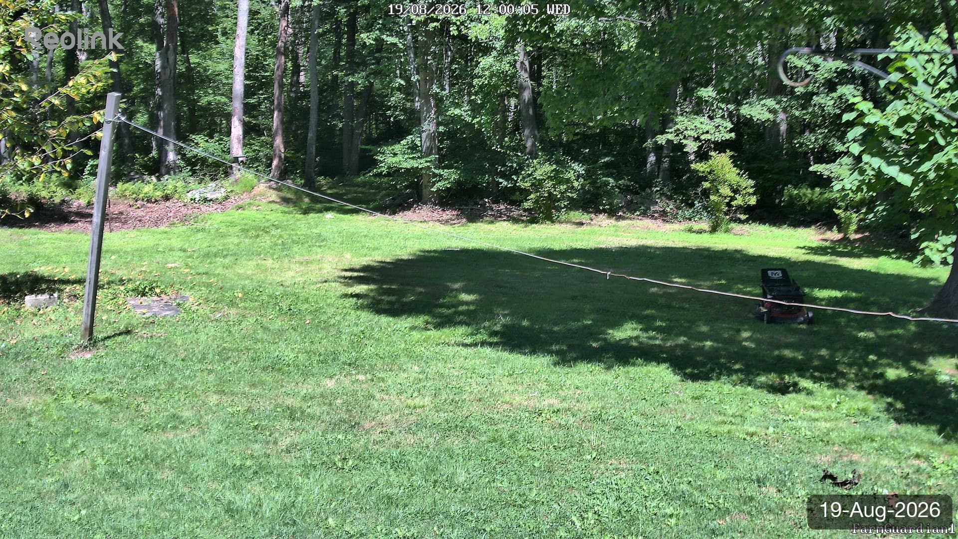 Yard on 19-Aug-2026, Noon