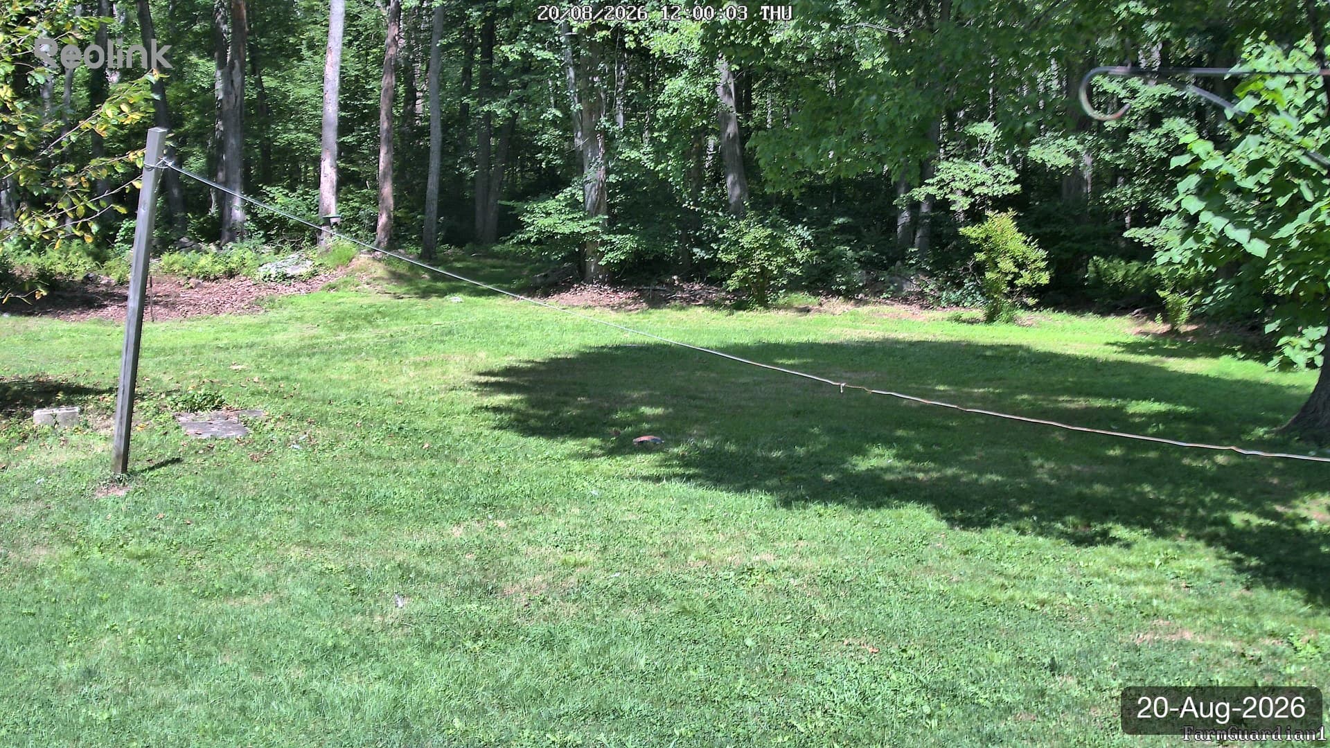 Yard on 20-Aug-2026, Noon