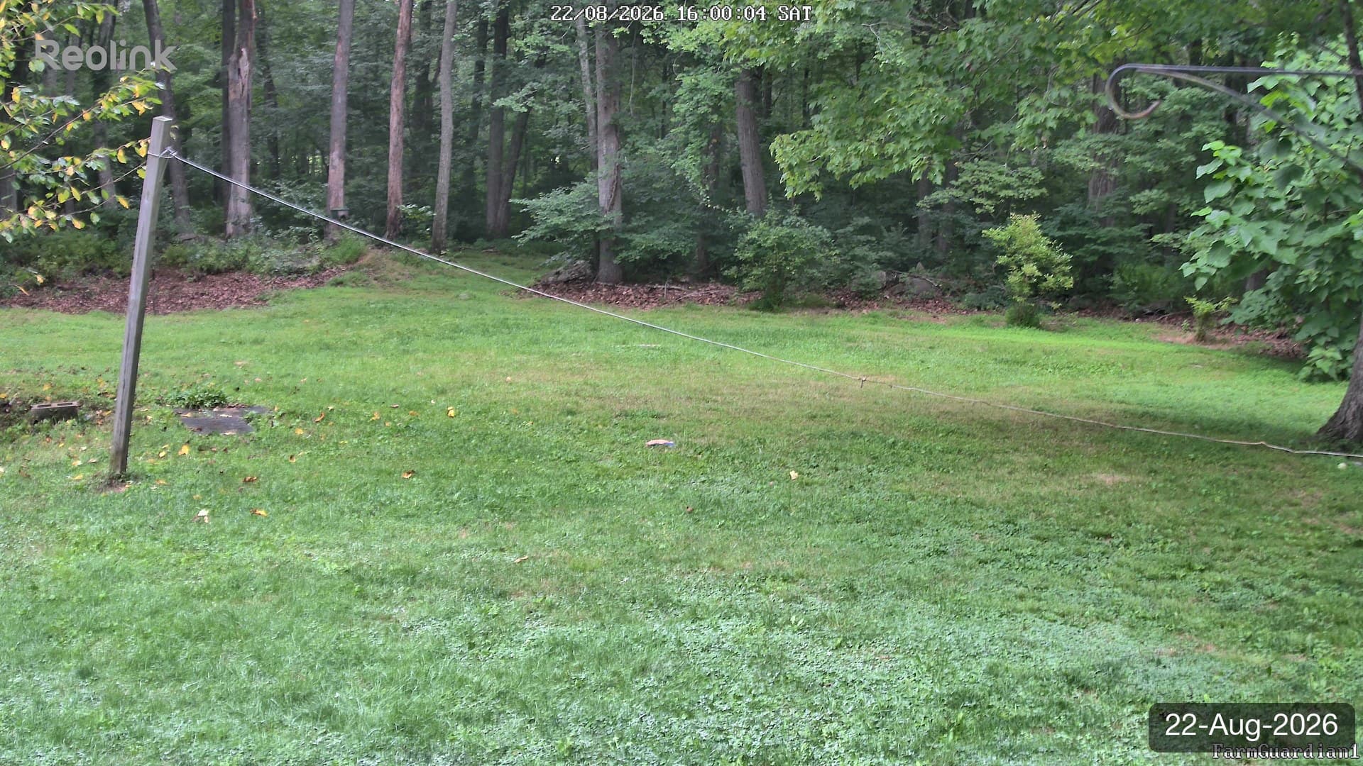 Yard on 22-Aug-2026, Evening
