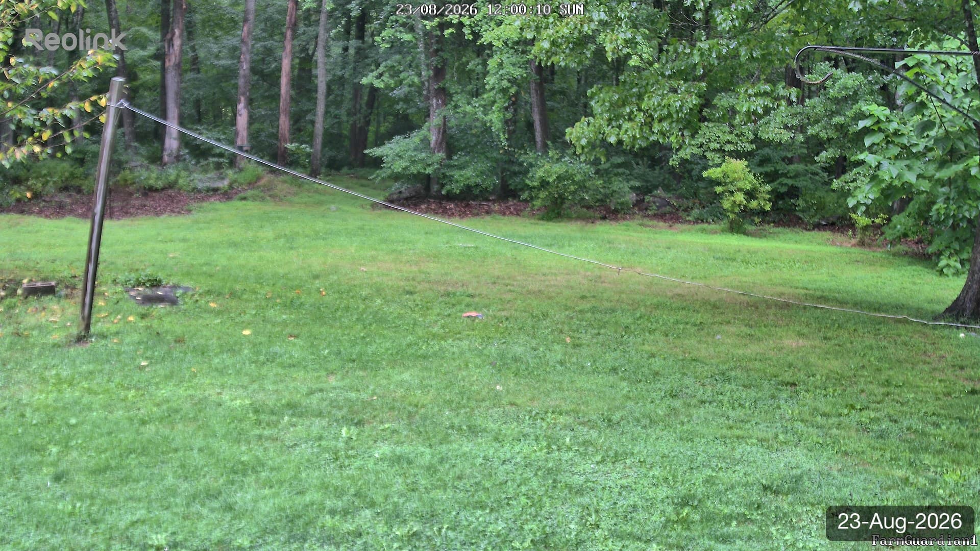 Yard on 23-Aug-2026, Noon