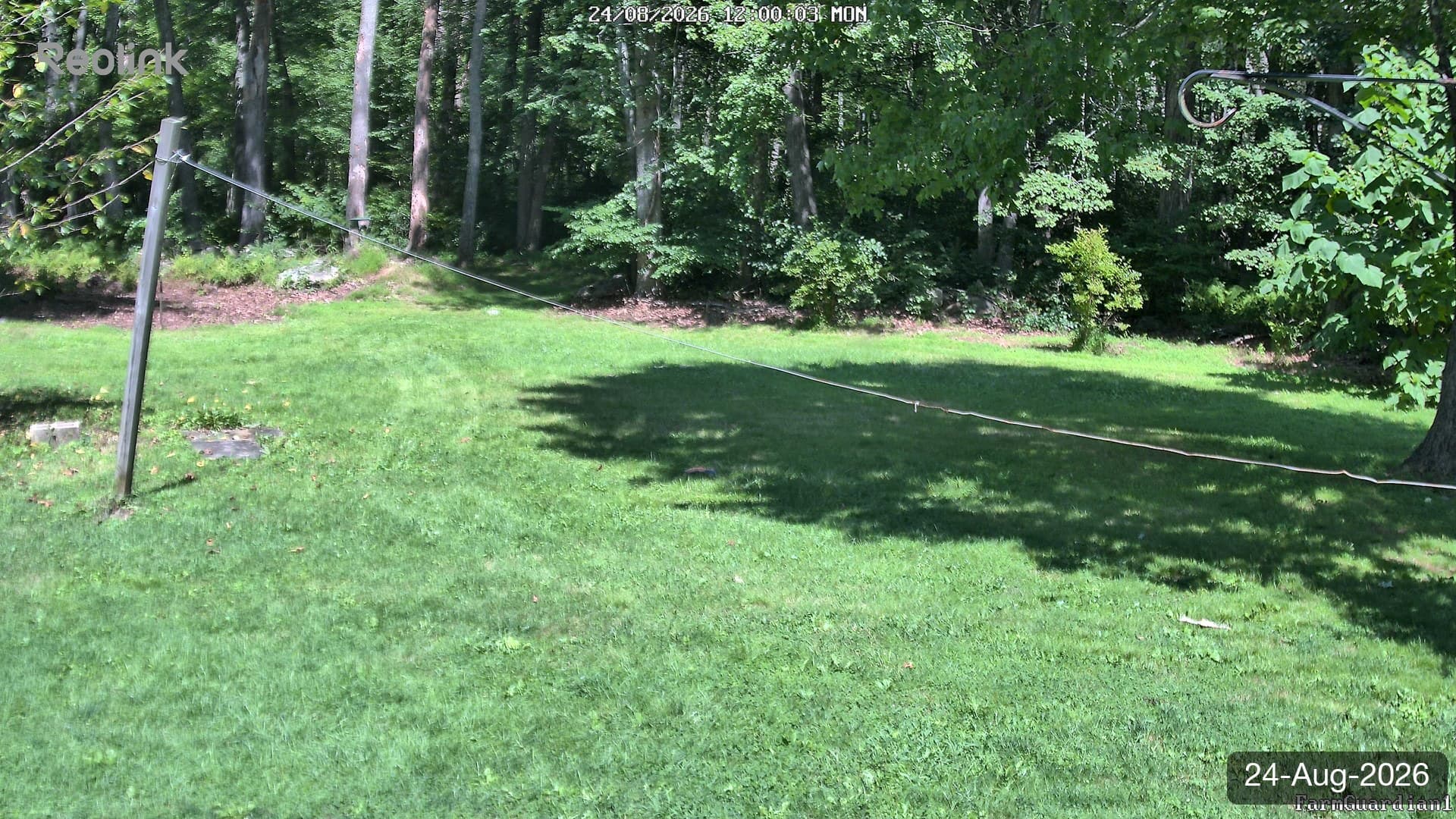 Yard on 24-Aug-2026, Noon