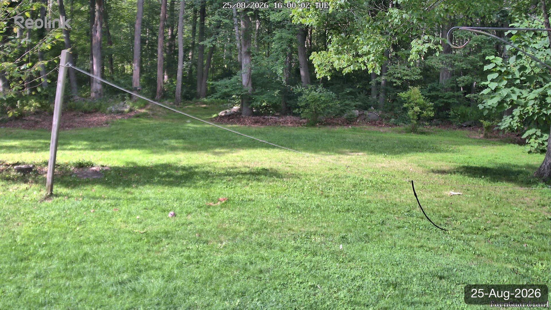 Yard on 25-Aug-2026, Evening