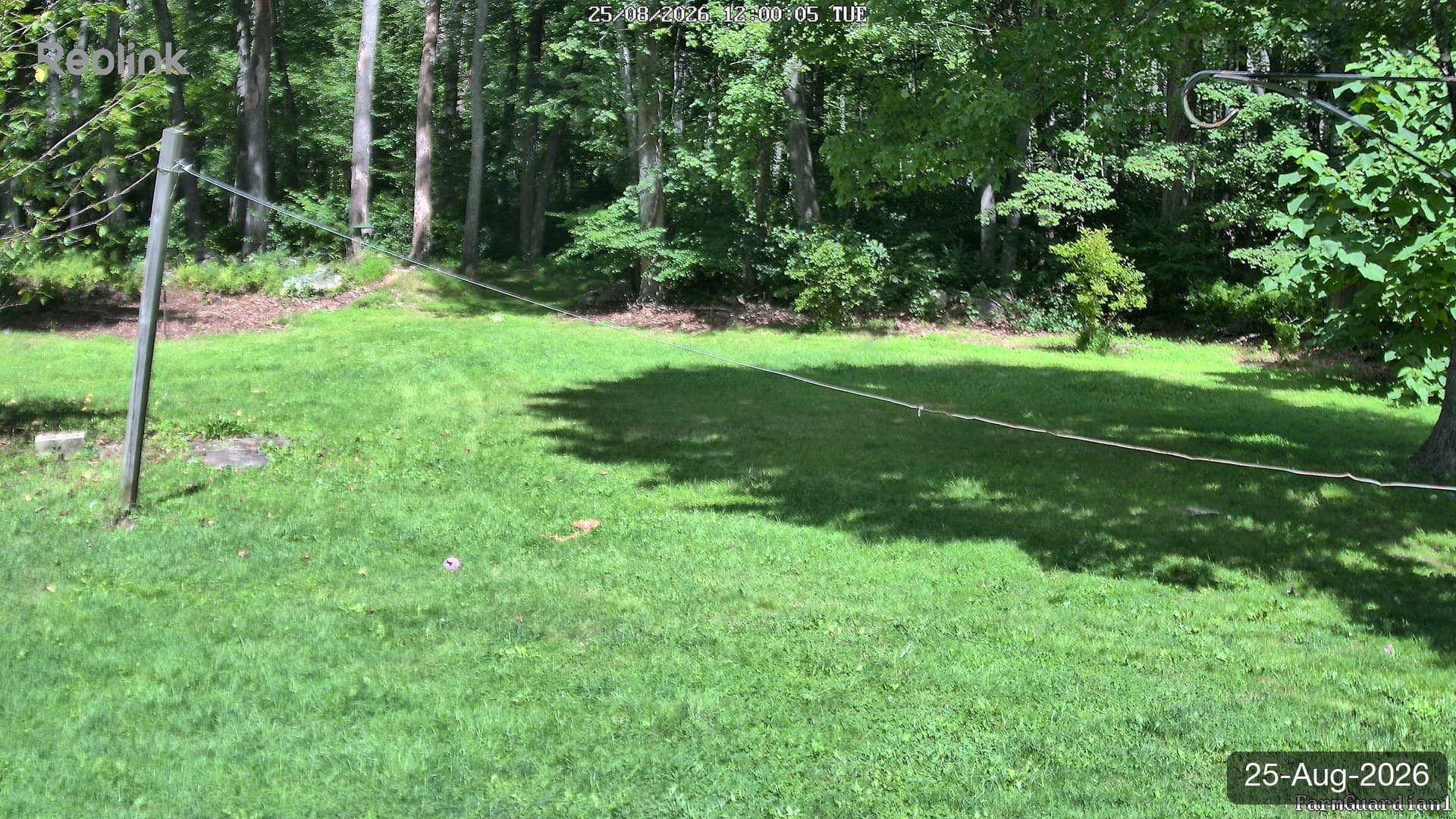 Yard on 25-Aug-2026, Noon