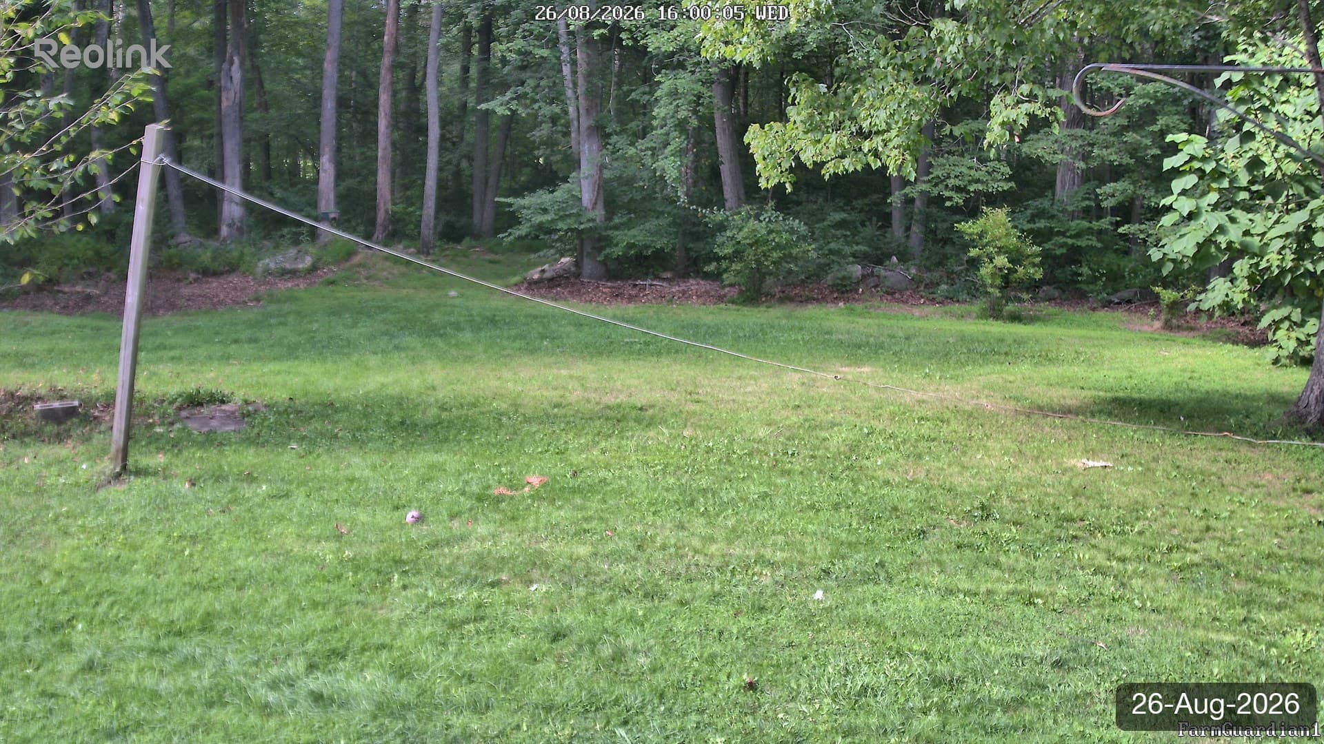 Yard on 26-Aug-2026, Evening