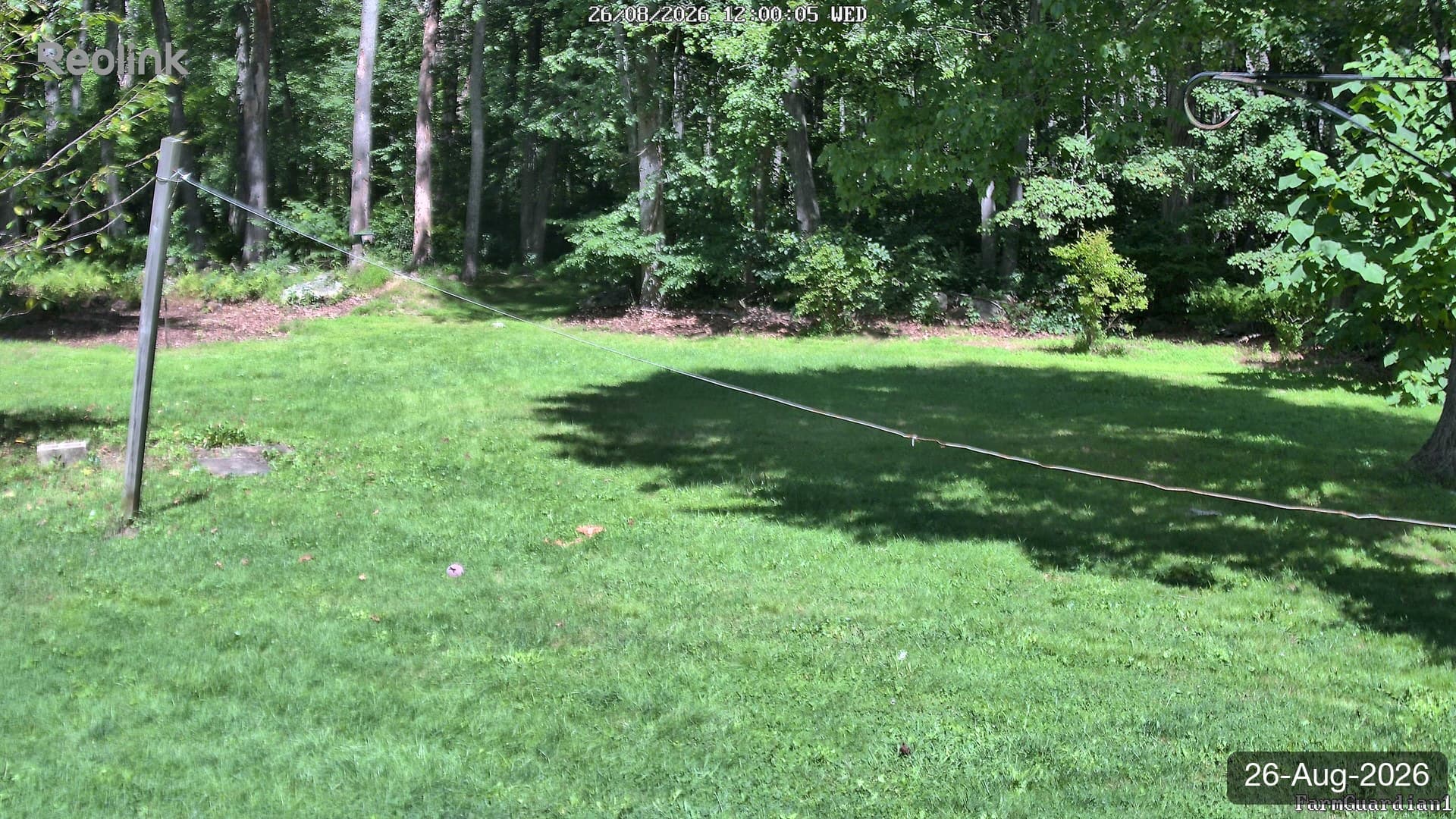 Yard on 26-Aug-2026, Noon