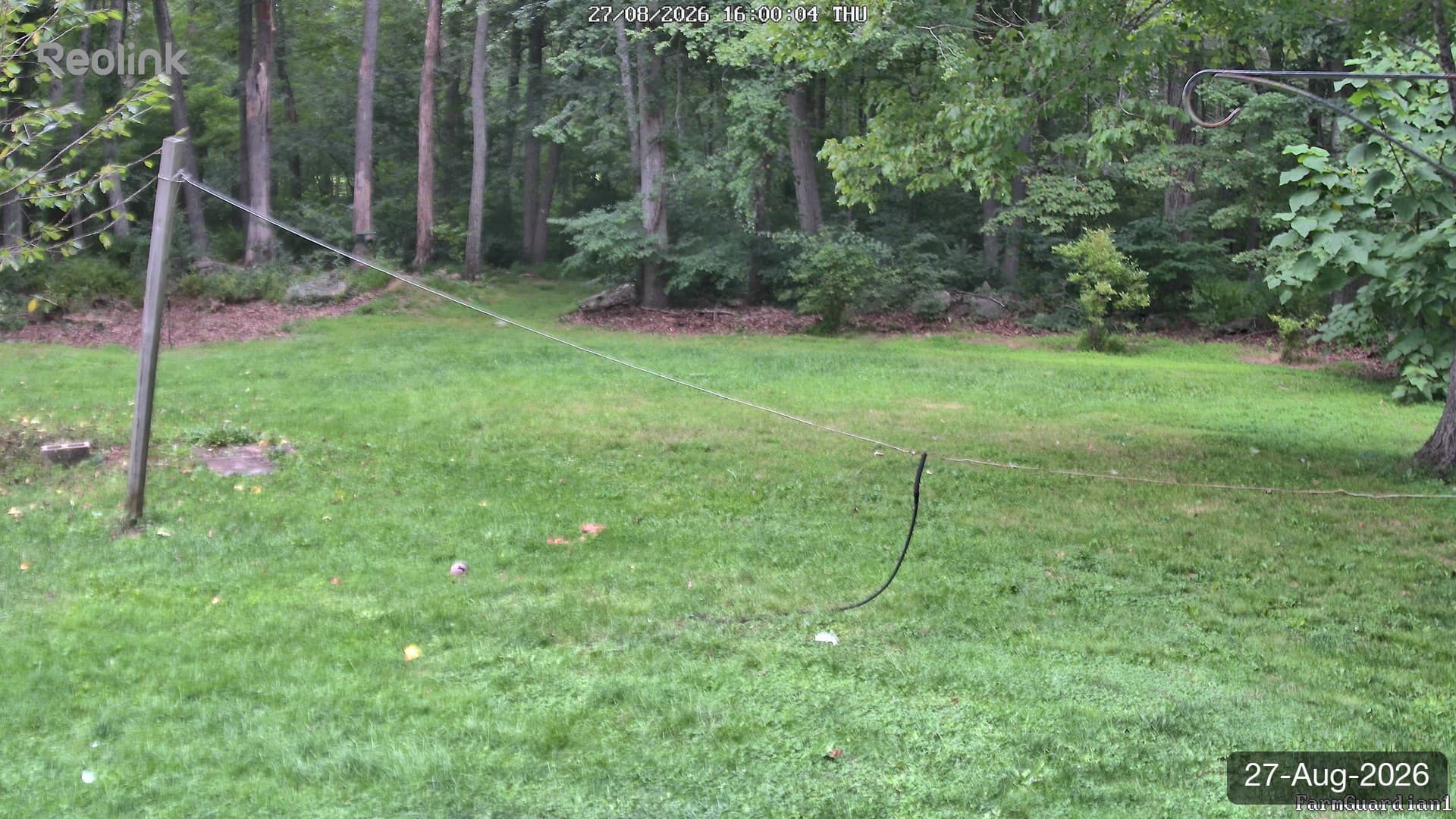 Yard on 27-Aug-2026, Evening