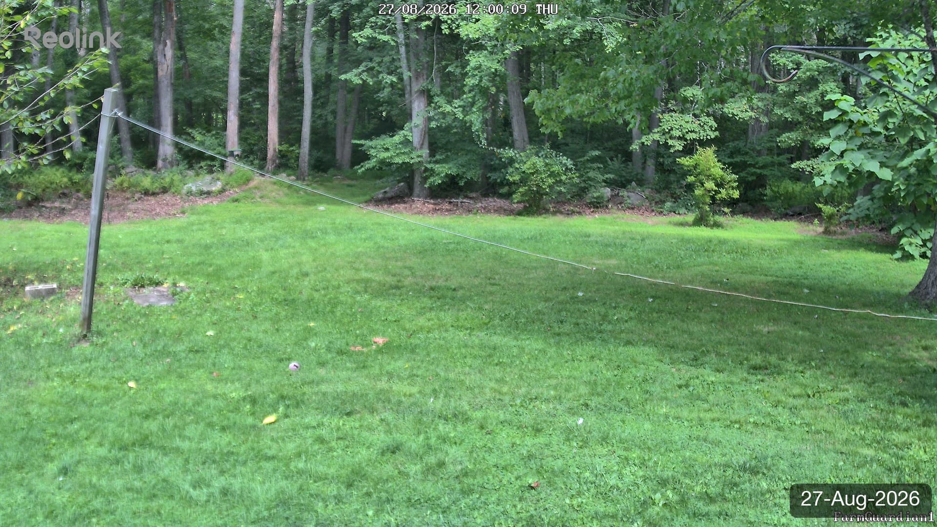 Yard on 27-Aug-2026, Noon