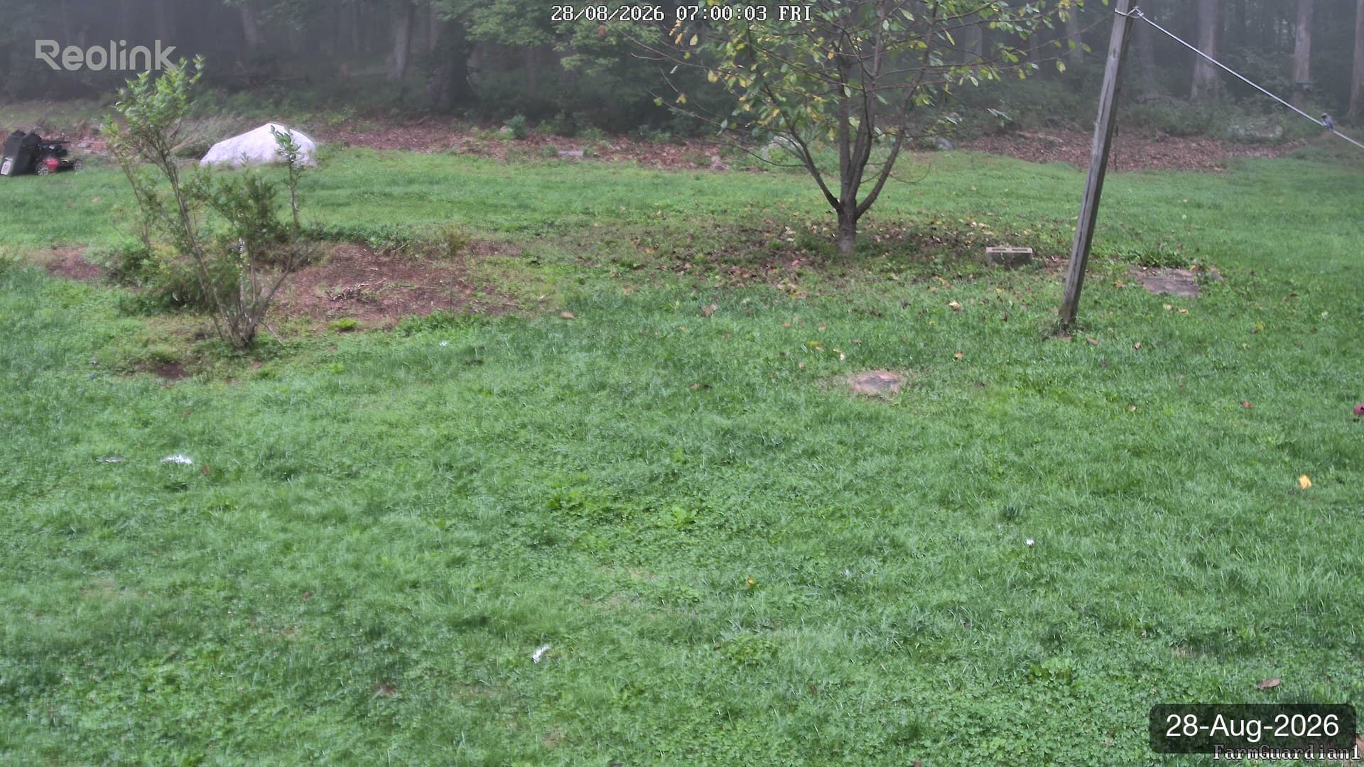 Yard on 28-Aug-2026, Morning