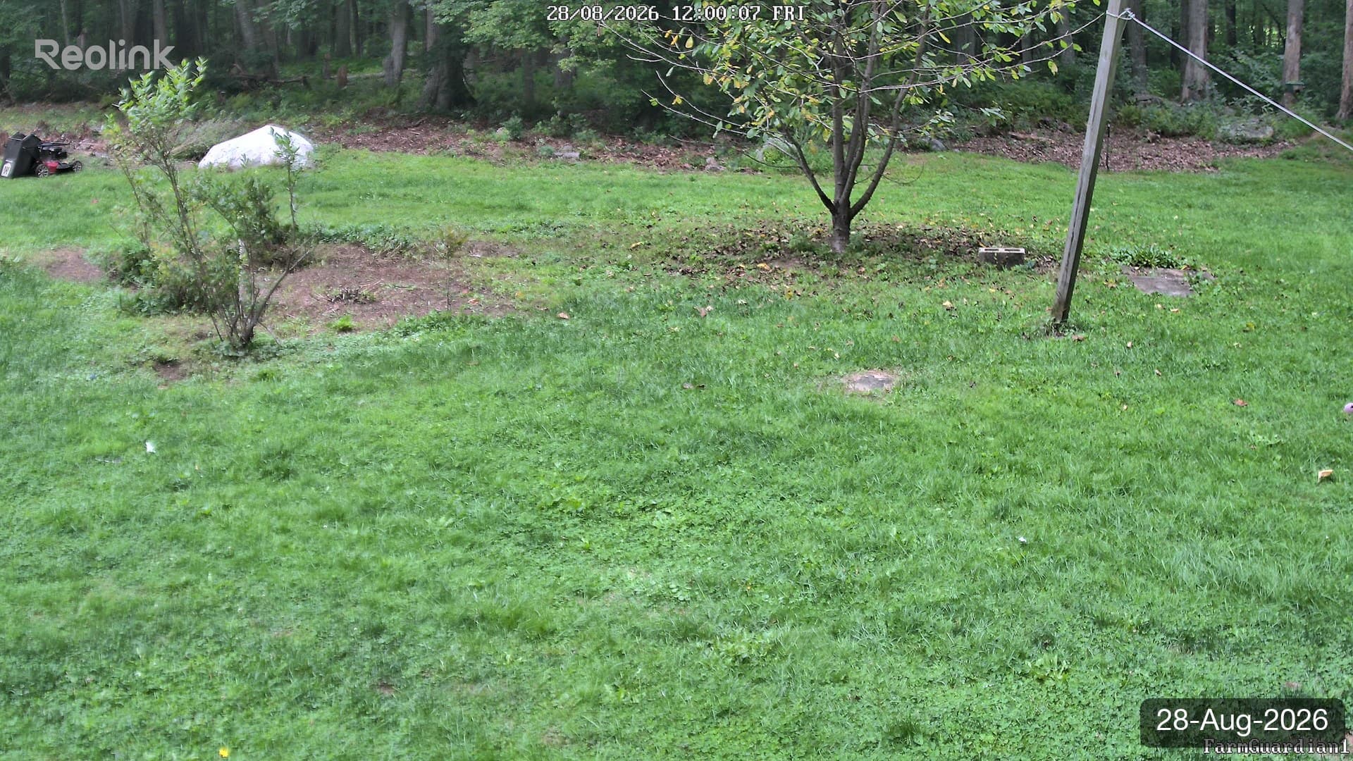 Yard on 28-Aug-2026, Noon