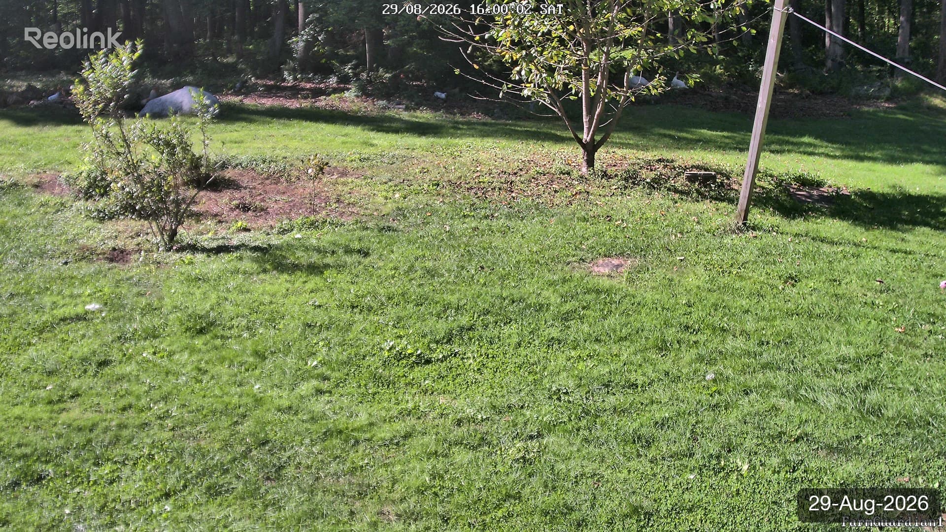 Yard on 29-Aug-2026, Evening