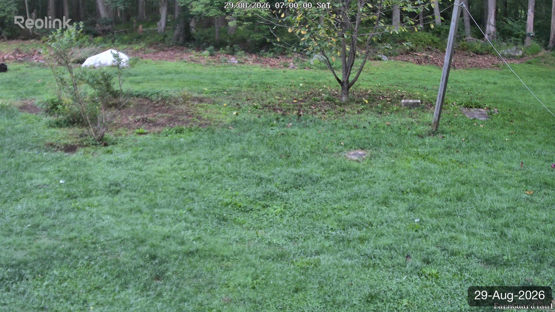 Yard on 29-Aug-2026, Morning