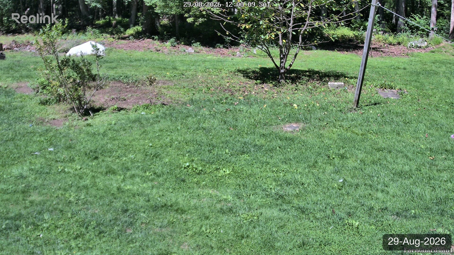 Yard on 29-Aug-2026, Noon