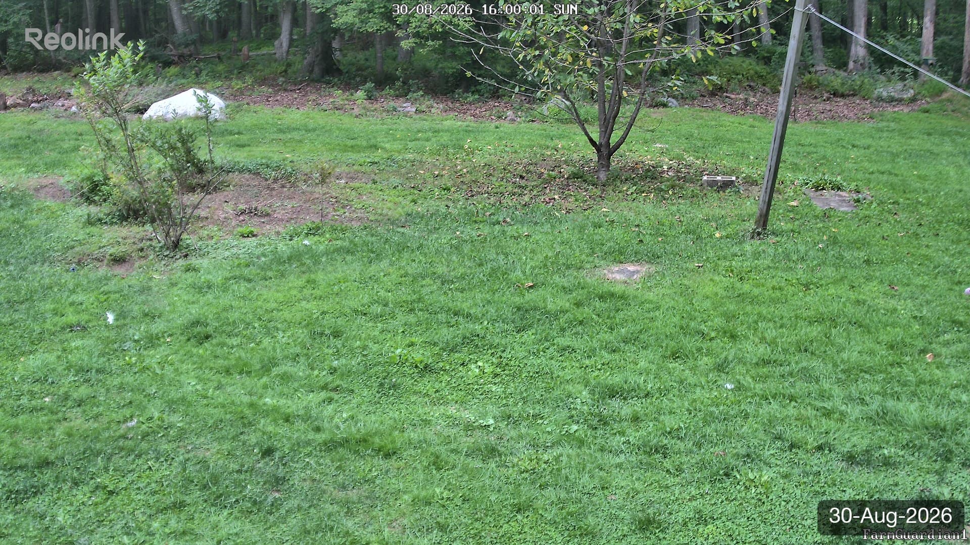 Yard on 30-Aug-2026, Evening