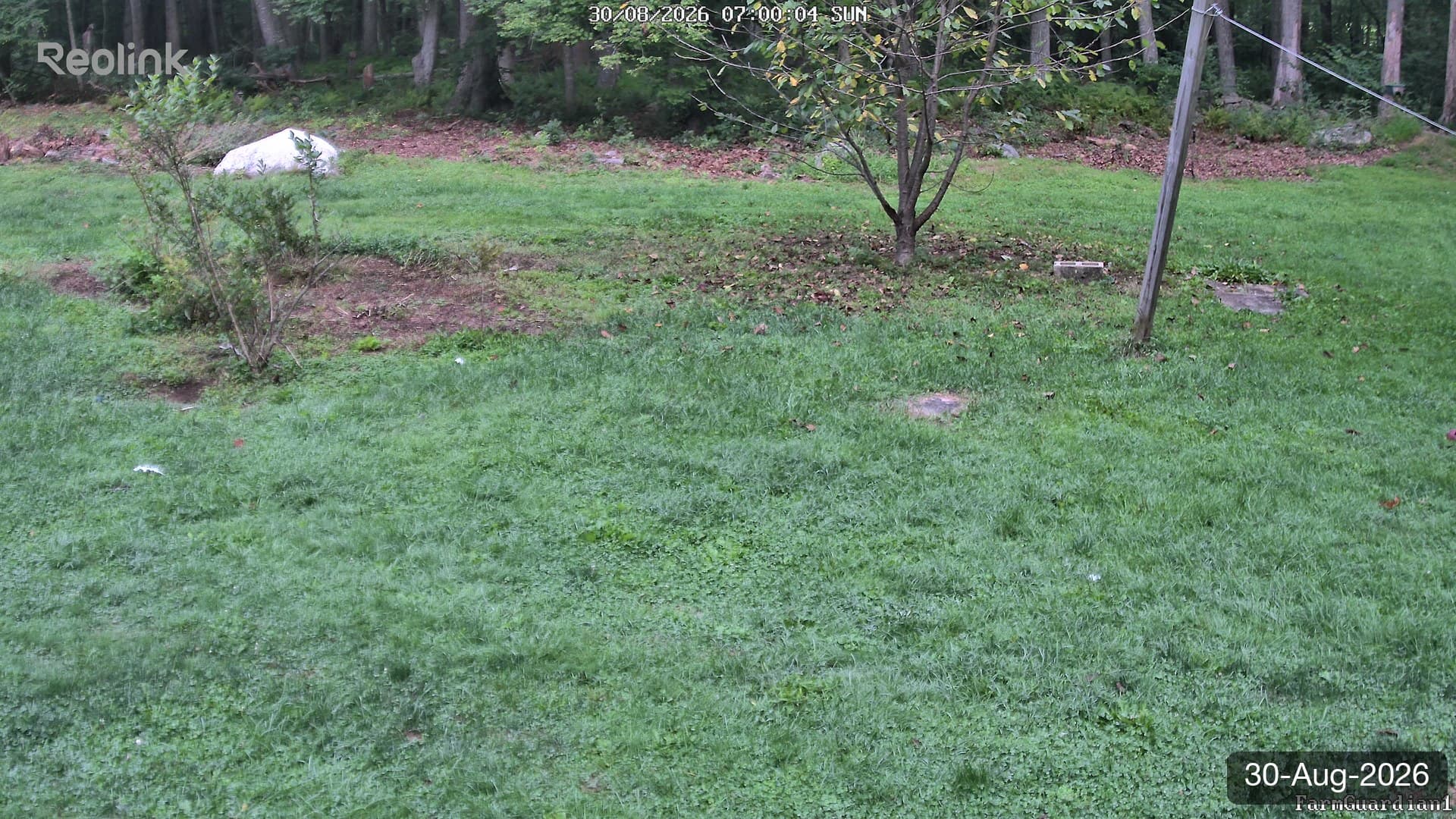 Yard on 30-Aug-2026, Morning