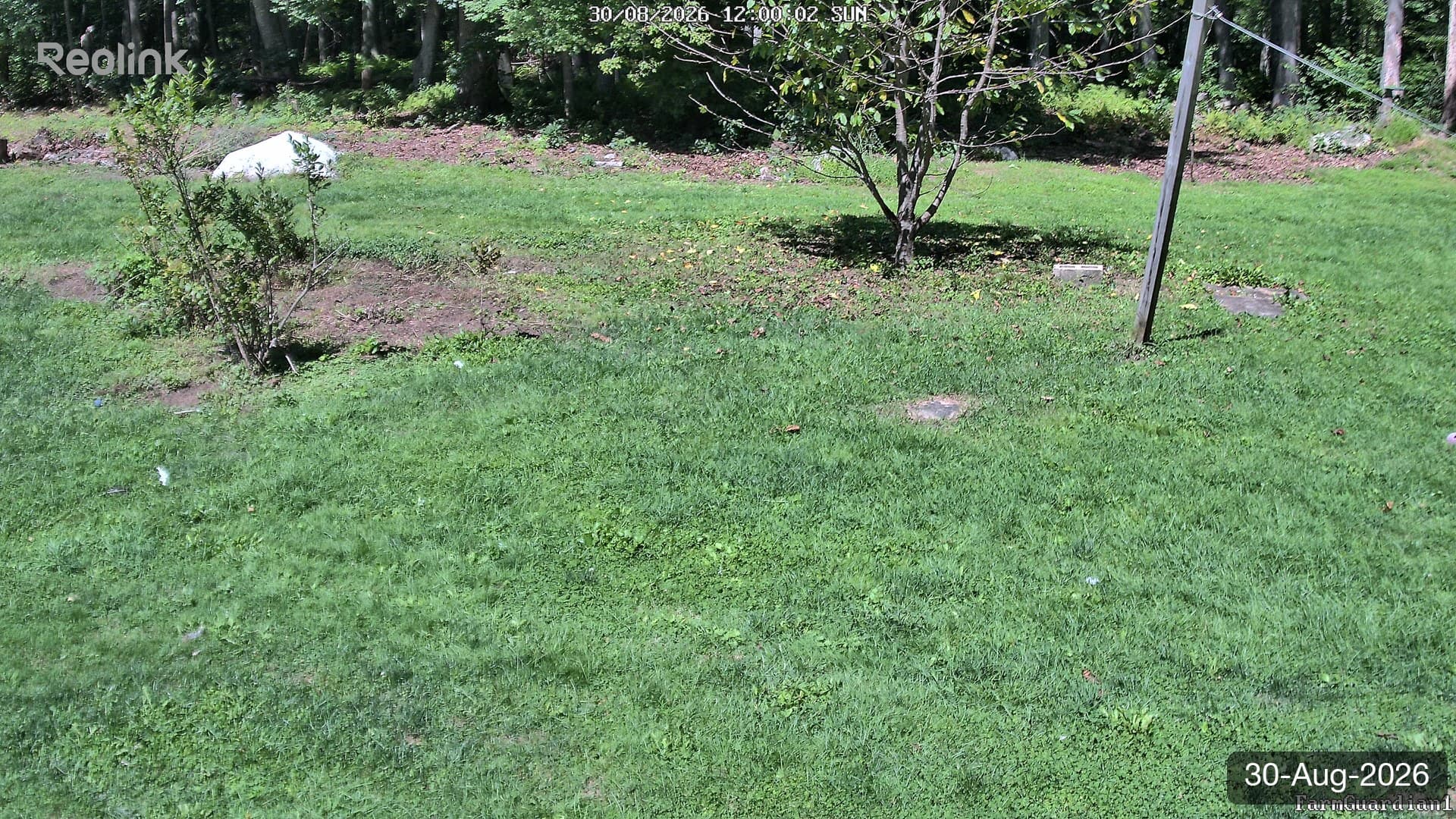 Yard on 30-Aug-2026, Noon