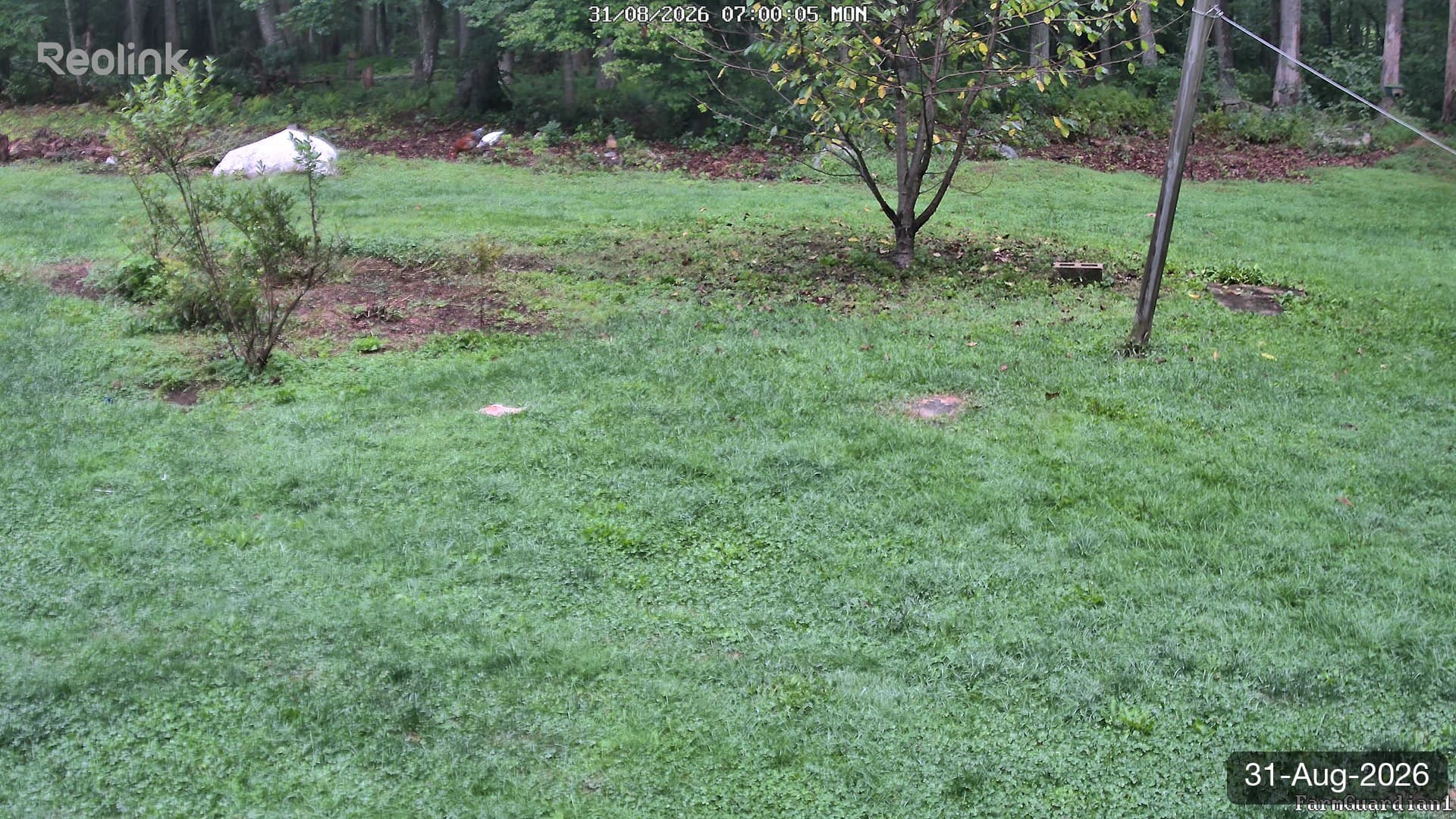 Yard on 31-Aug-2026, Morning