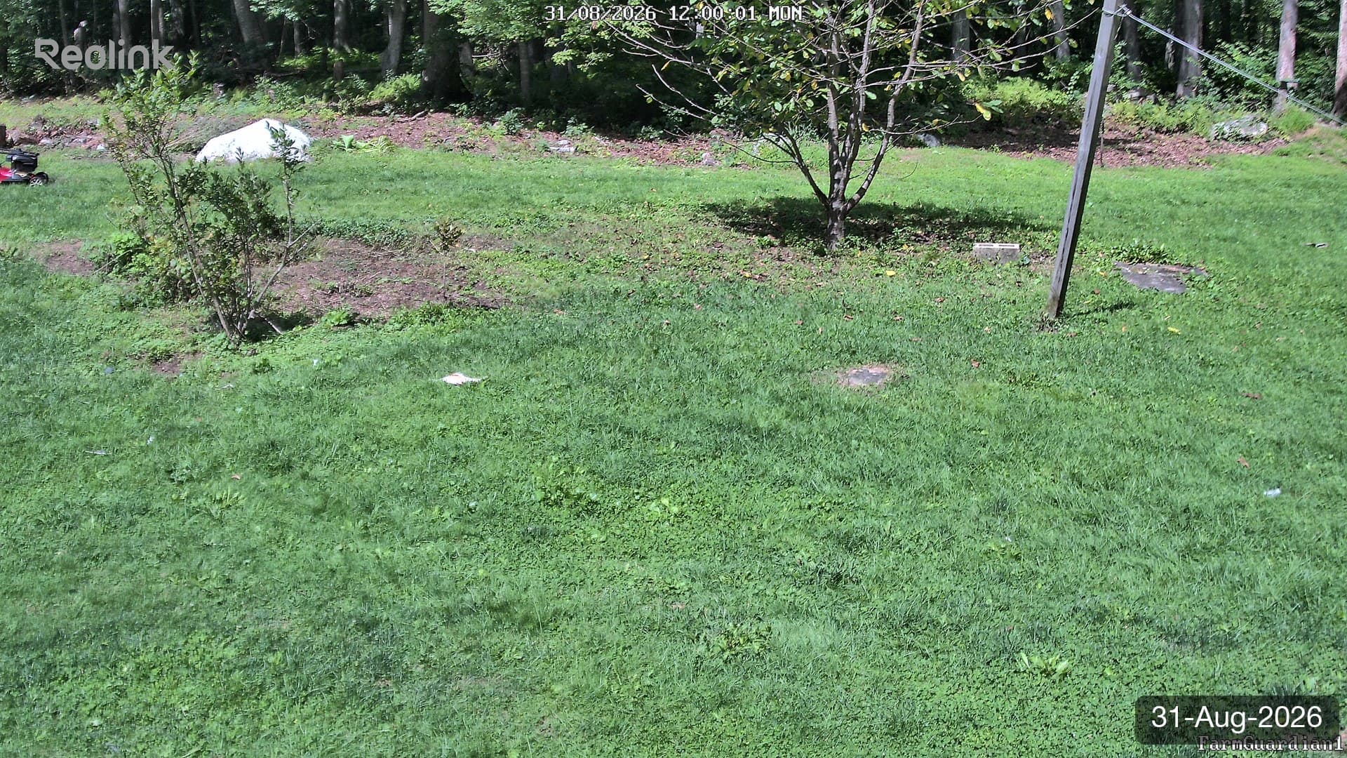 Yard on 31-Aug-2026, Noon