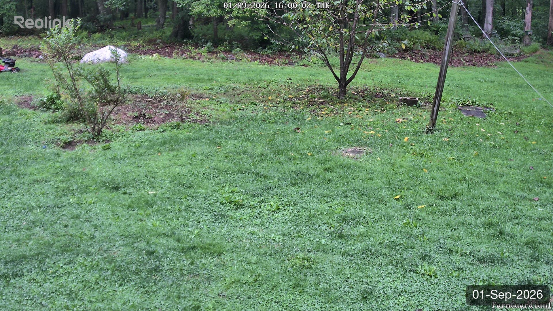 Yard on 01-Sept-2026, Evening