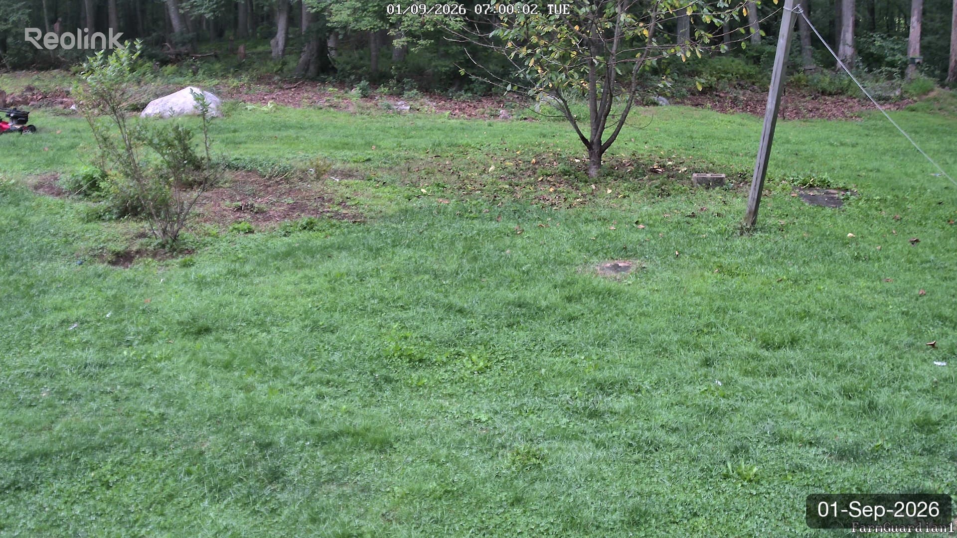 Yard on 01-Sept-2026, Morning
